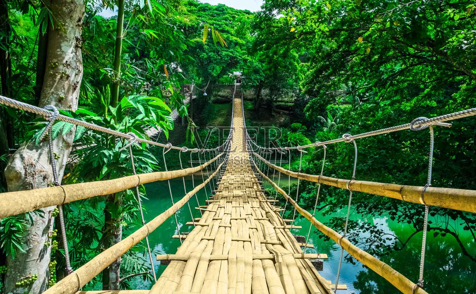 热带森林中，河上的竹桥照片摄影图片