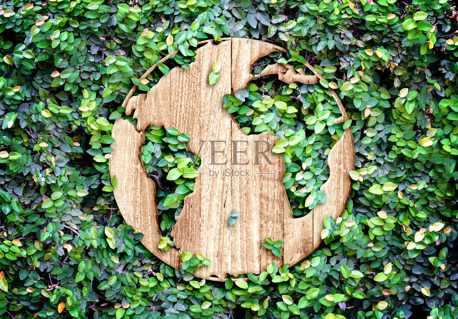 生态概念:木质纹理世界图标上的绿叶墙照片摄影图片