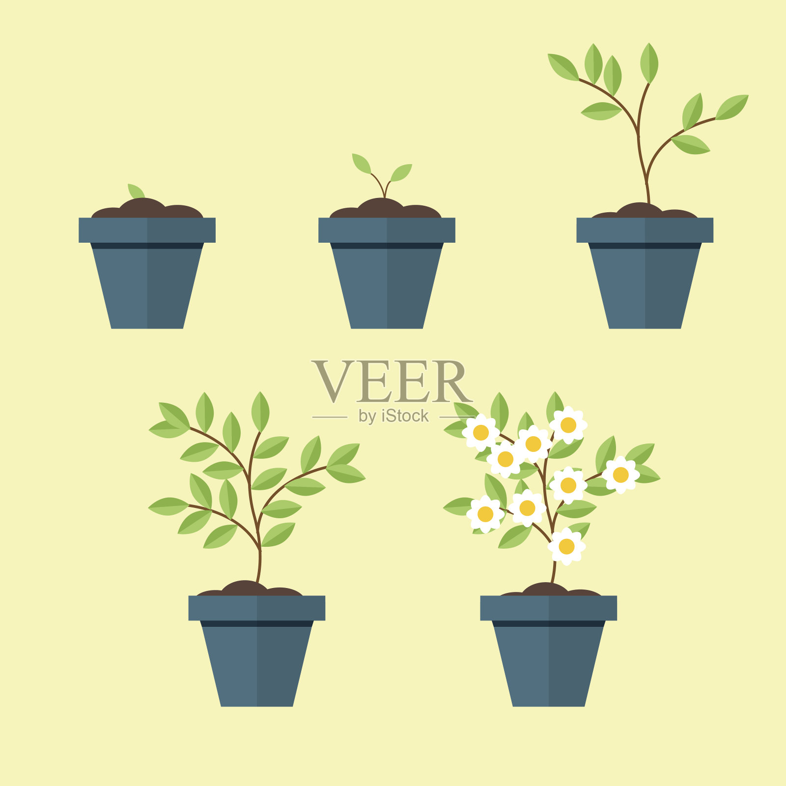 盆栽植物从种子到开花树的过程。矢量，插图孤立在黄色背景EPS10。插画图片素材