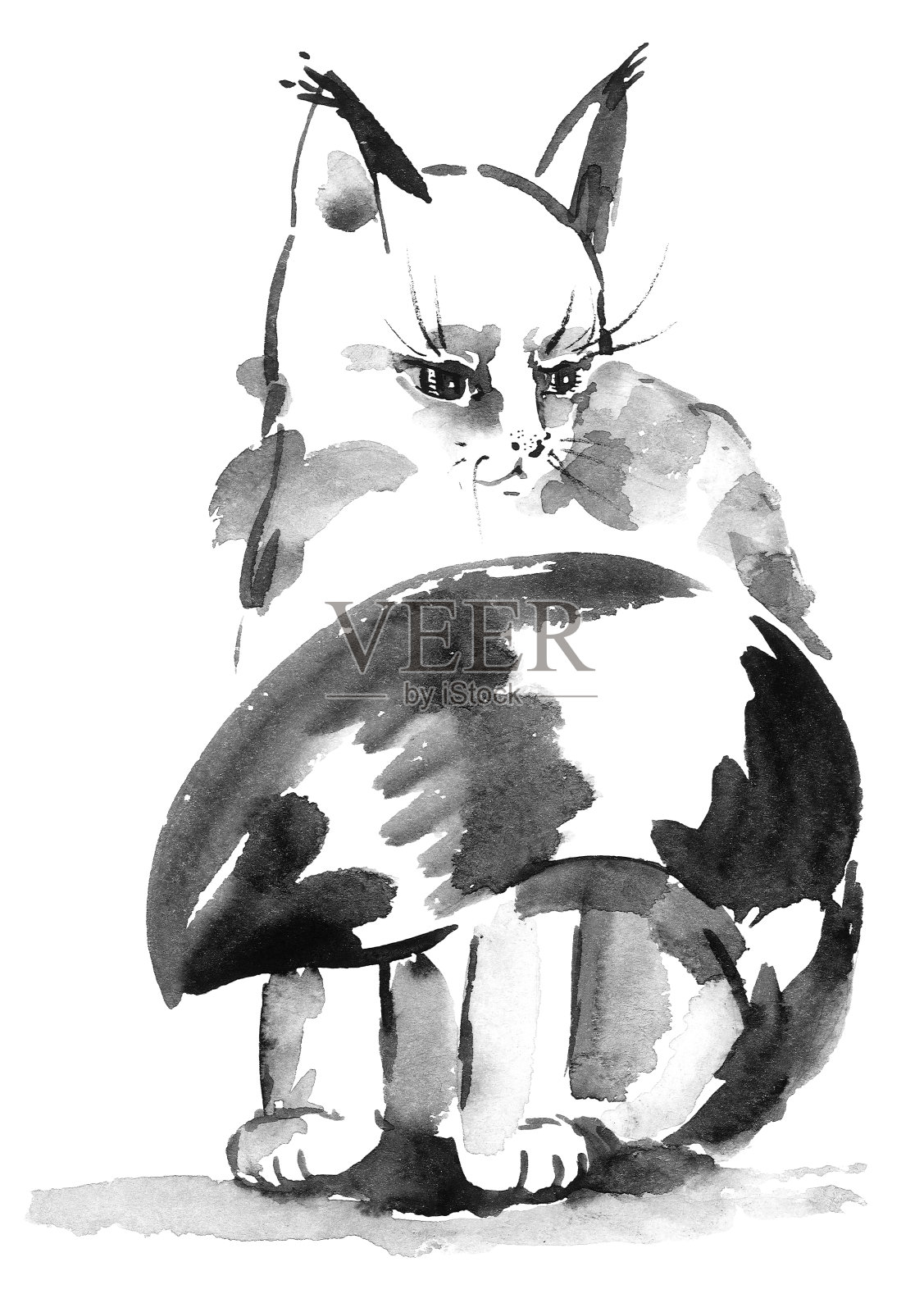 水彩猫肖像插画图片素材