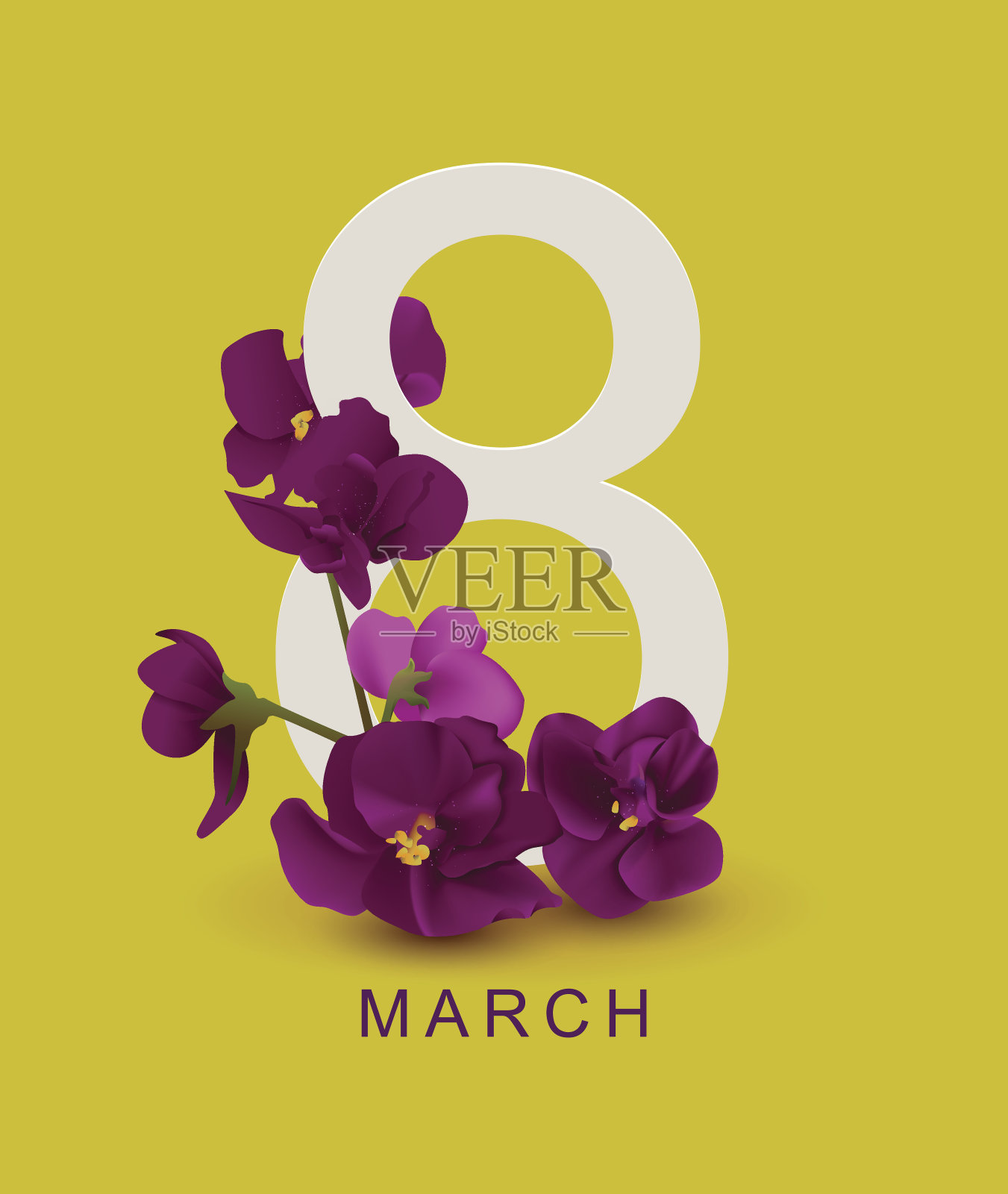 3月8日贺卡模板。黄色背景上的紫罗兰花插画图片素材