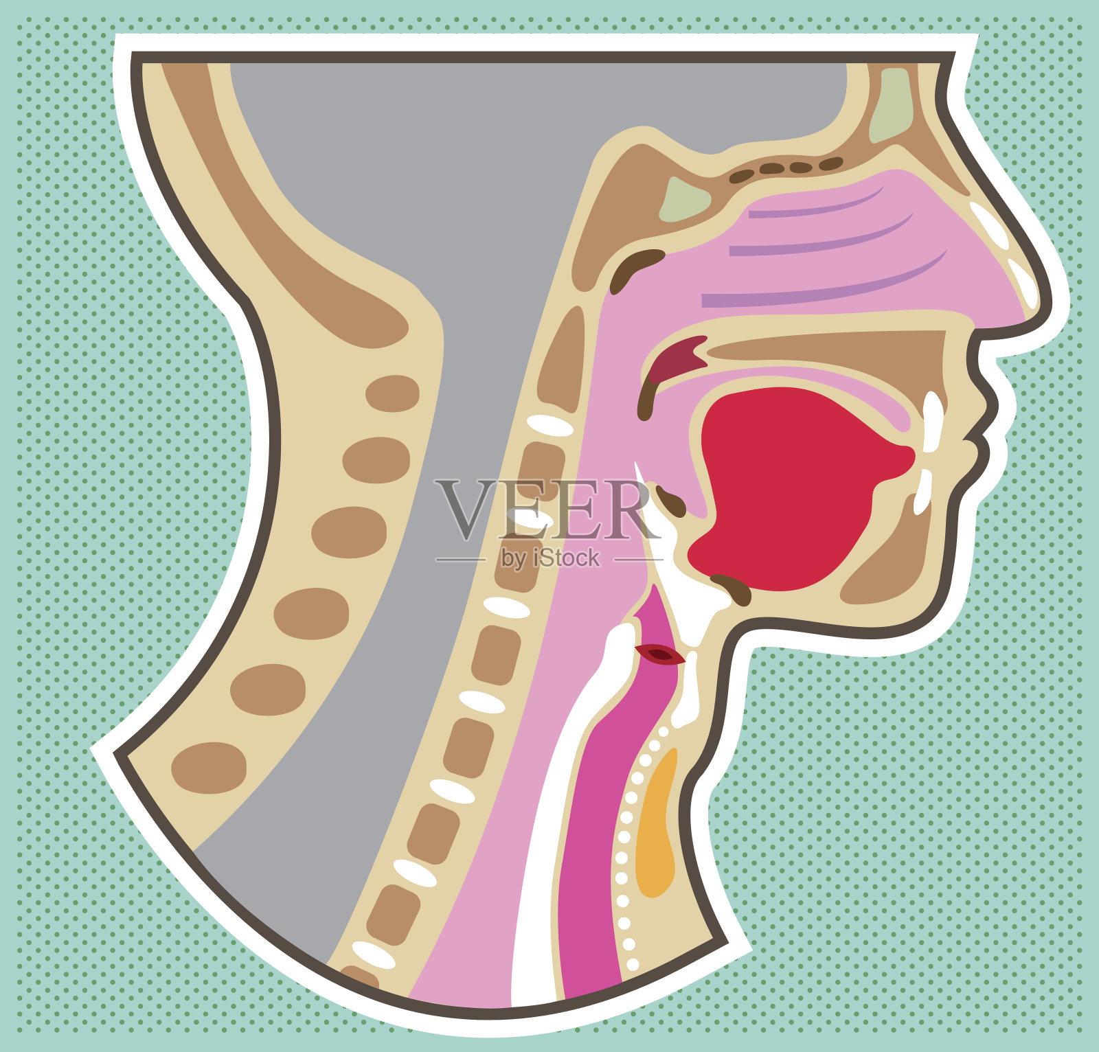 食道癌的症状：食管异物感、喉咙有干涩感和压迫感—【NMN观察】