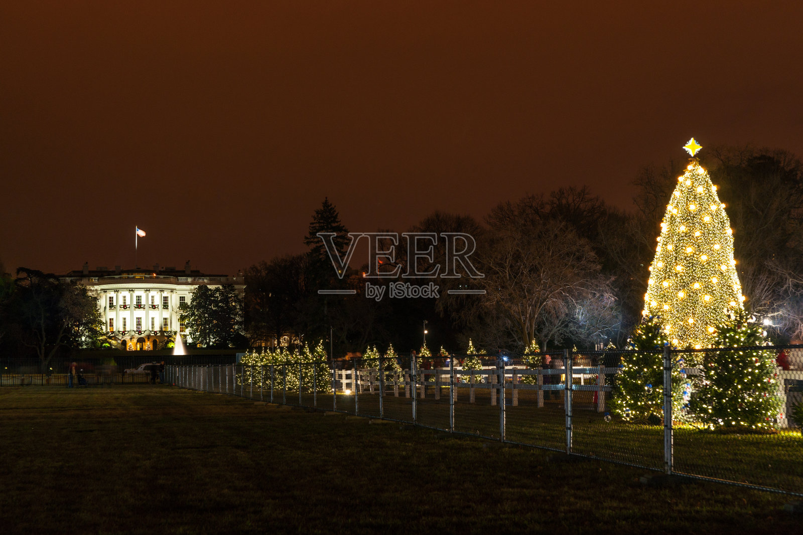 白宫和国家圣诞树照片摄影图片