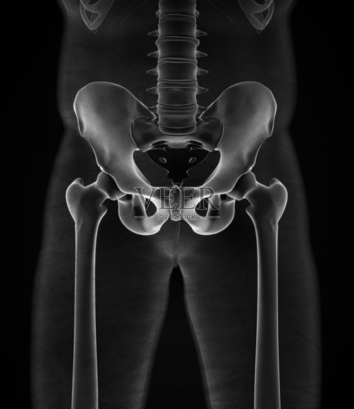 髂骨、髋骨、骨盆。人体解剖学，骨骼结构x光。插画图片素材