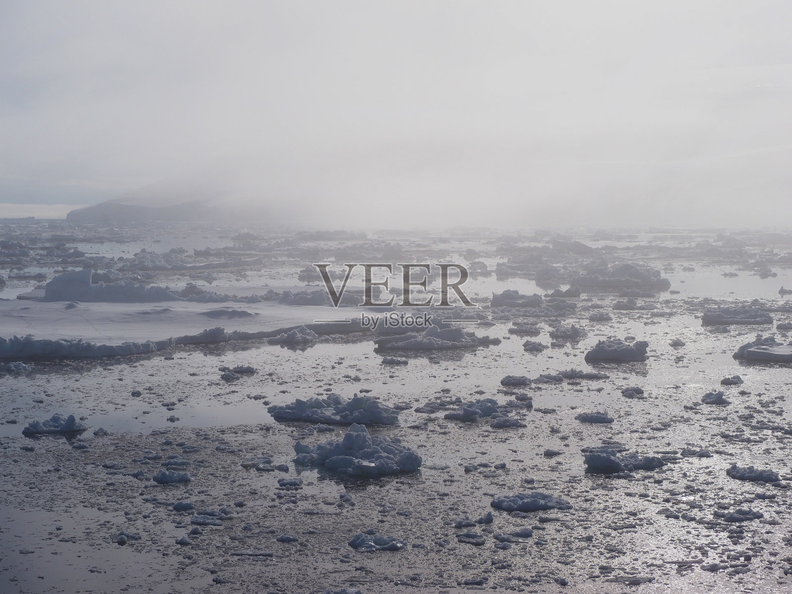 雾中的南极冰山景观照片摄影图片