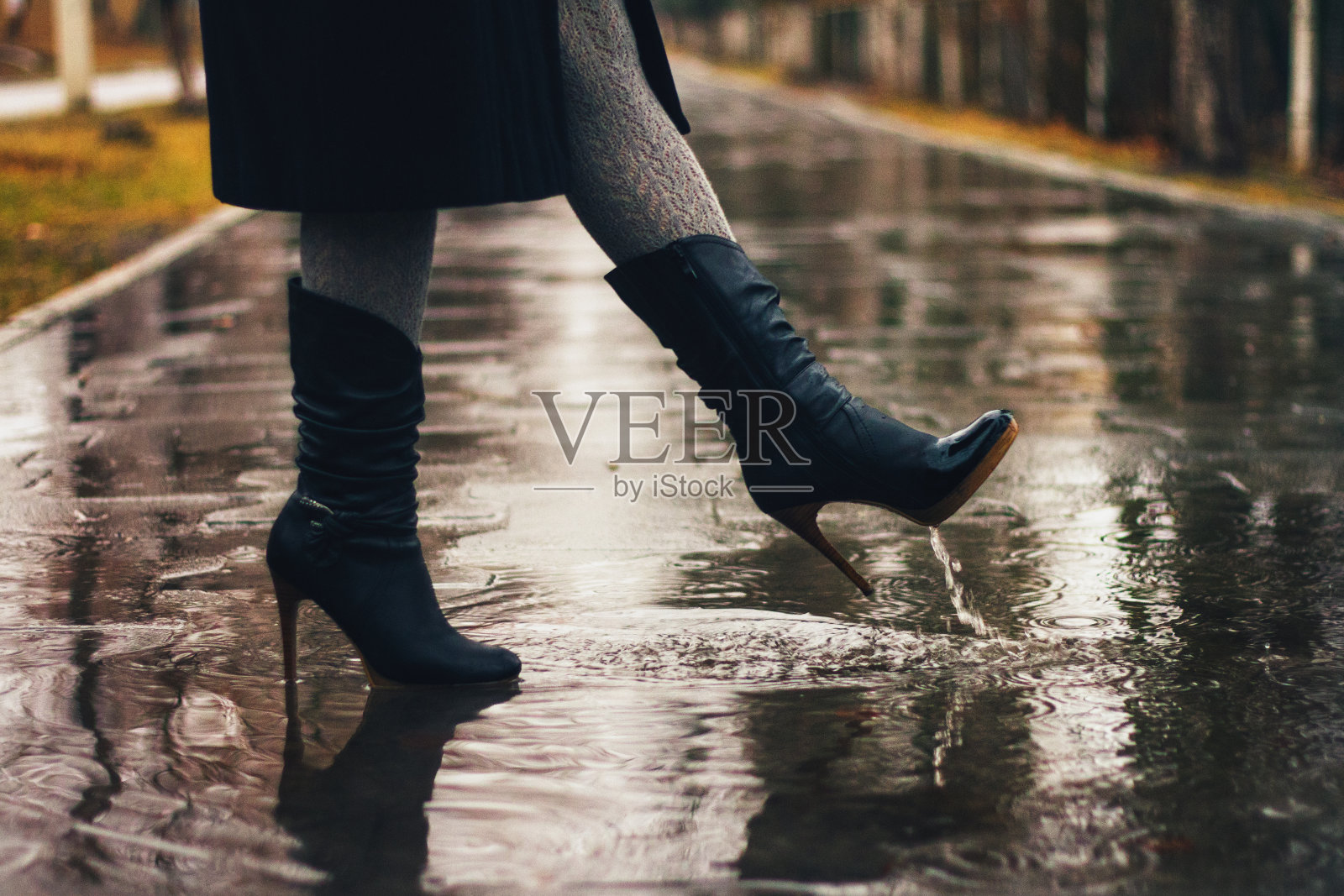 女人的腿和女人的皮靴在雨中照片摄影图片