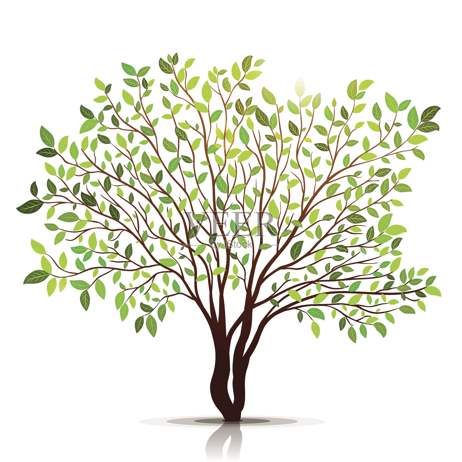 绿色的树与树叶在白色的背景向量设计元素图片