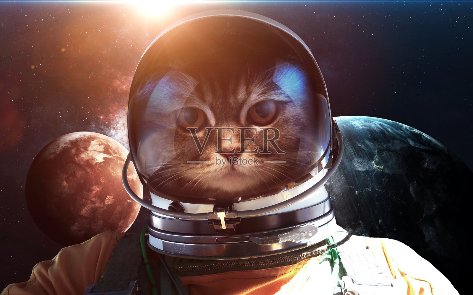 太空行走中勇敢的猫宇航员。提供的图像元素照片摄影图片