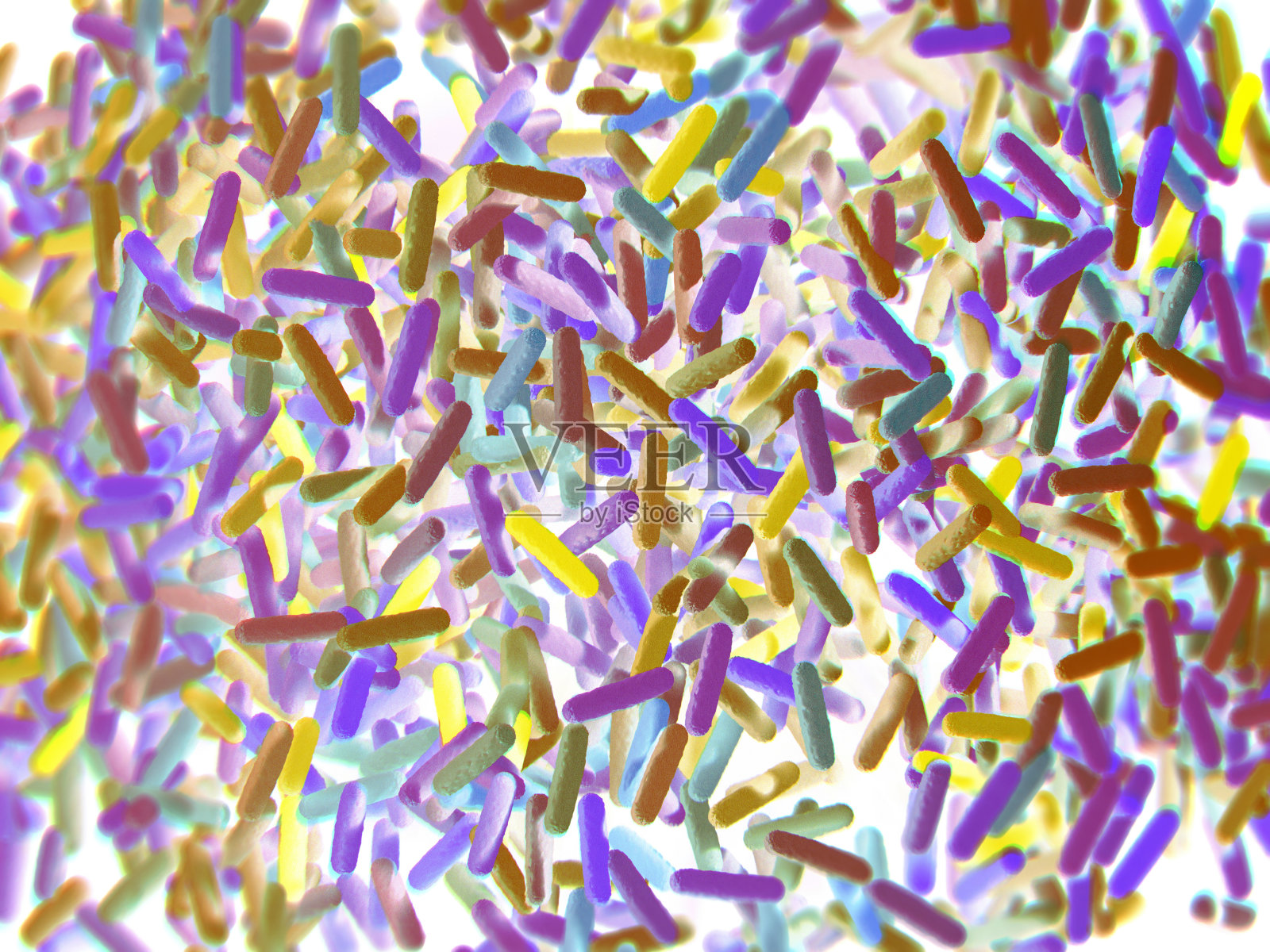 肠道细菌微生物。3 d演示。表示。照片摄影图片