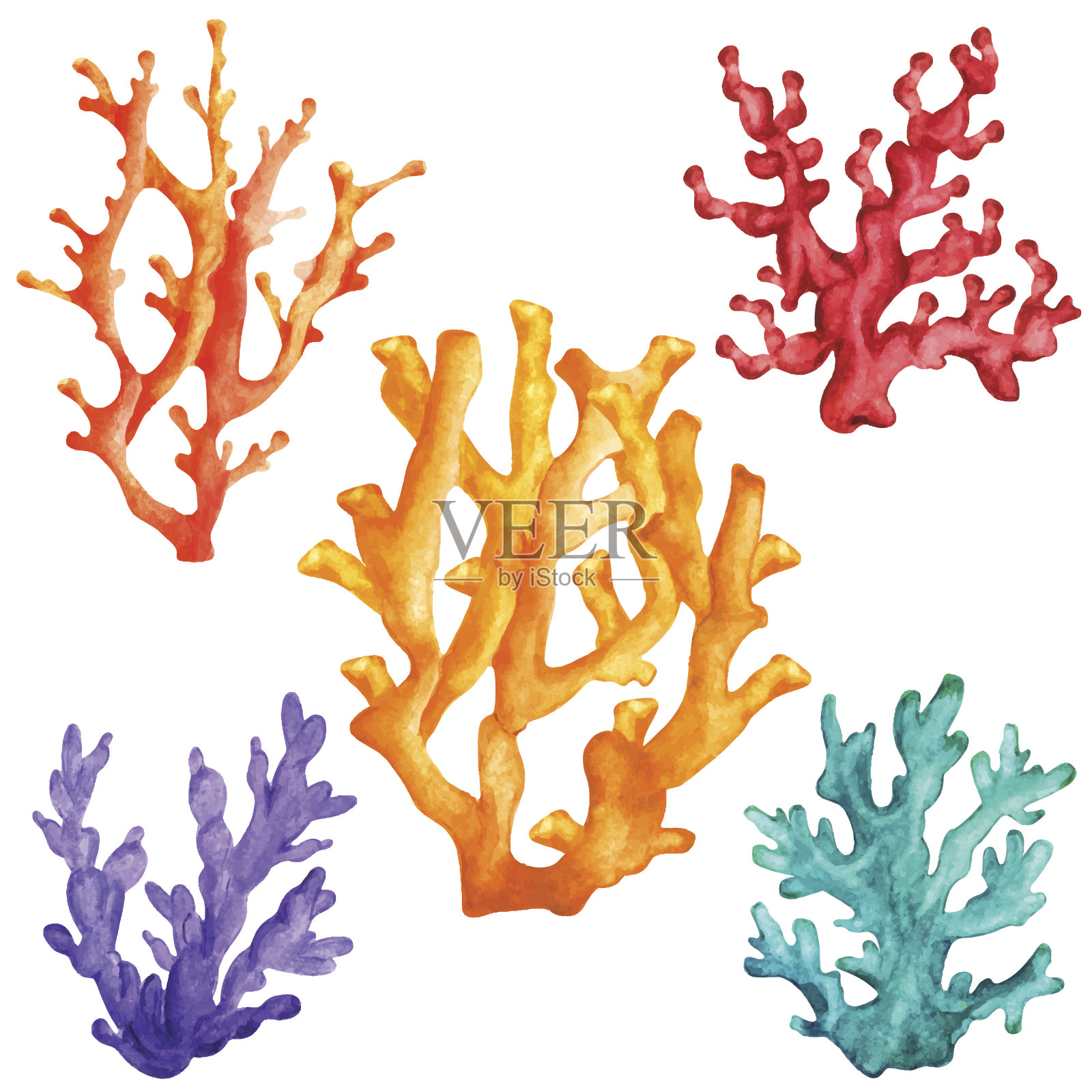 水彩画色彩斑斓的珊瑚插画图片素材