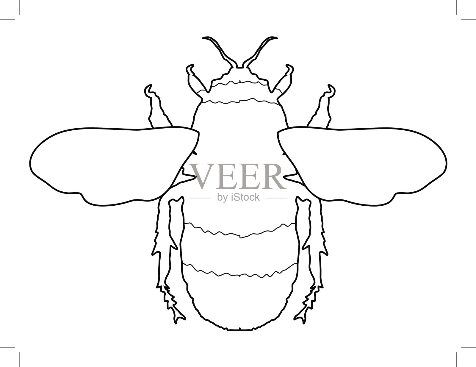 大黄蜂,昆虫插画图片素材
