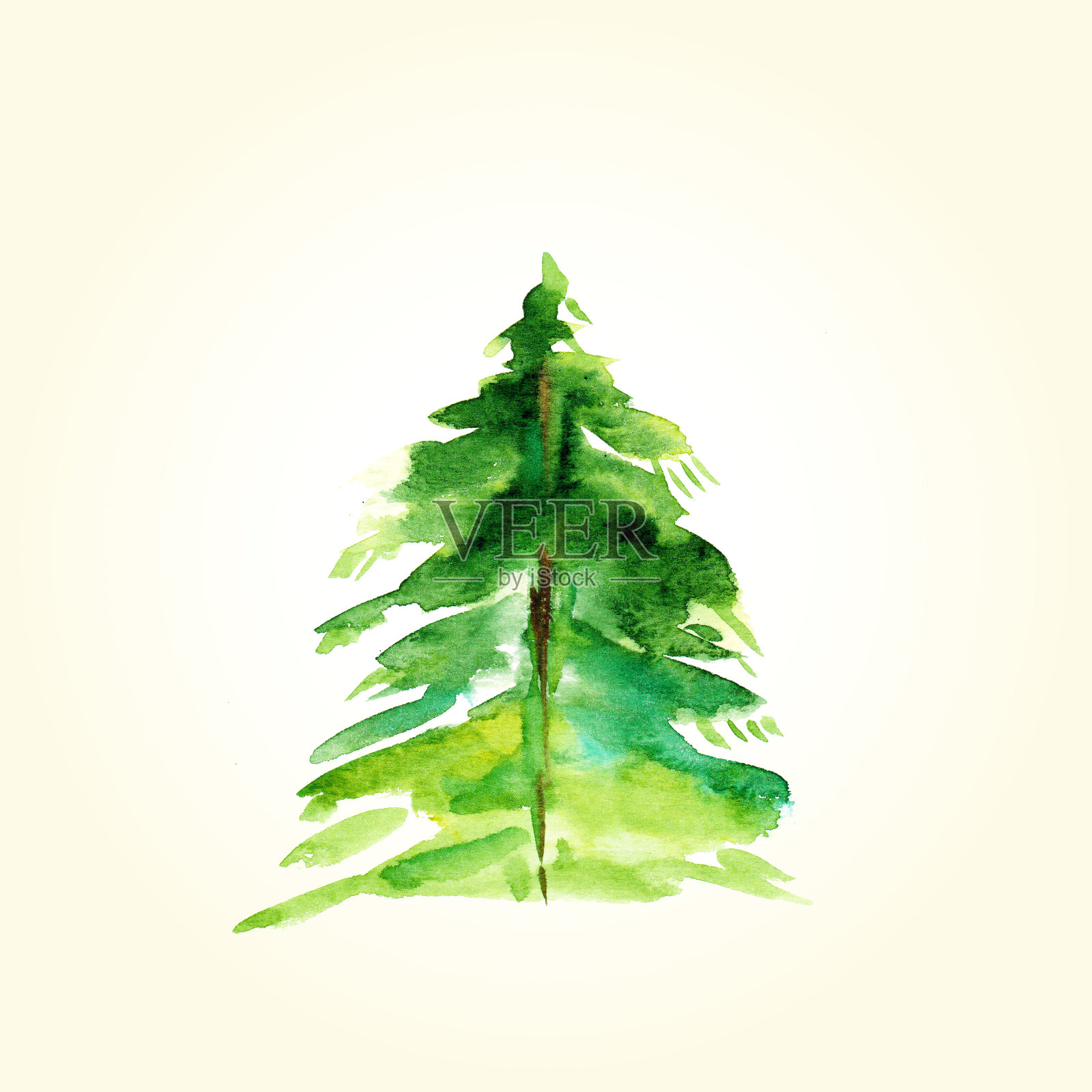 手绘水彩冷杉树圣诞贺卡插画图片素材
