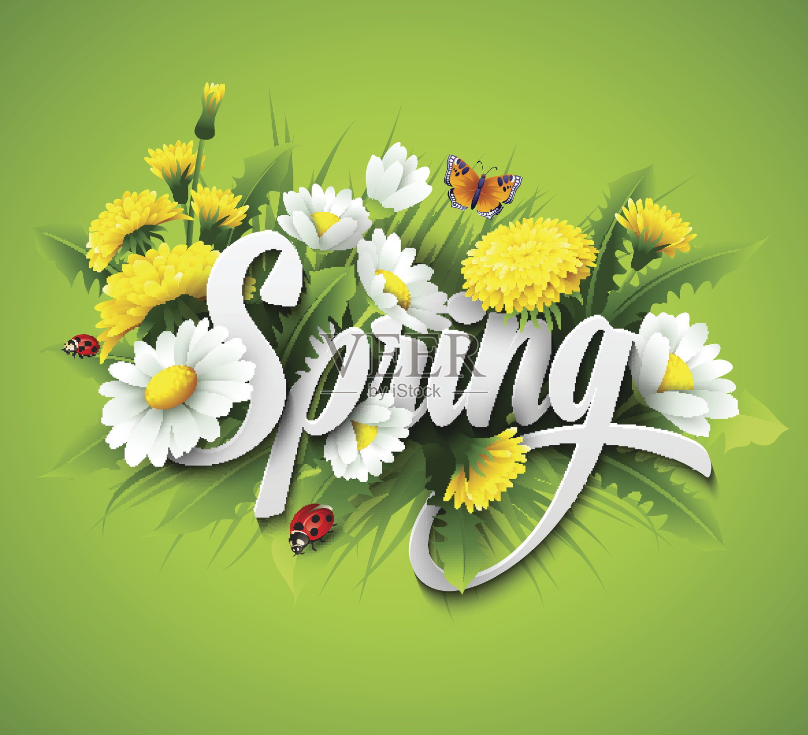 清新的春天背景草，蒲公英和雏菊插画图片素材
