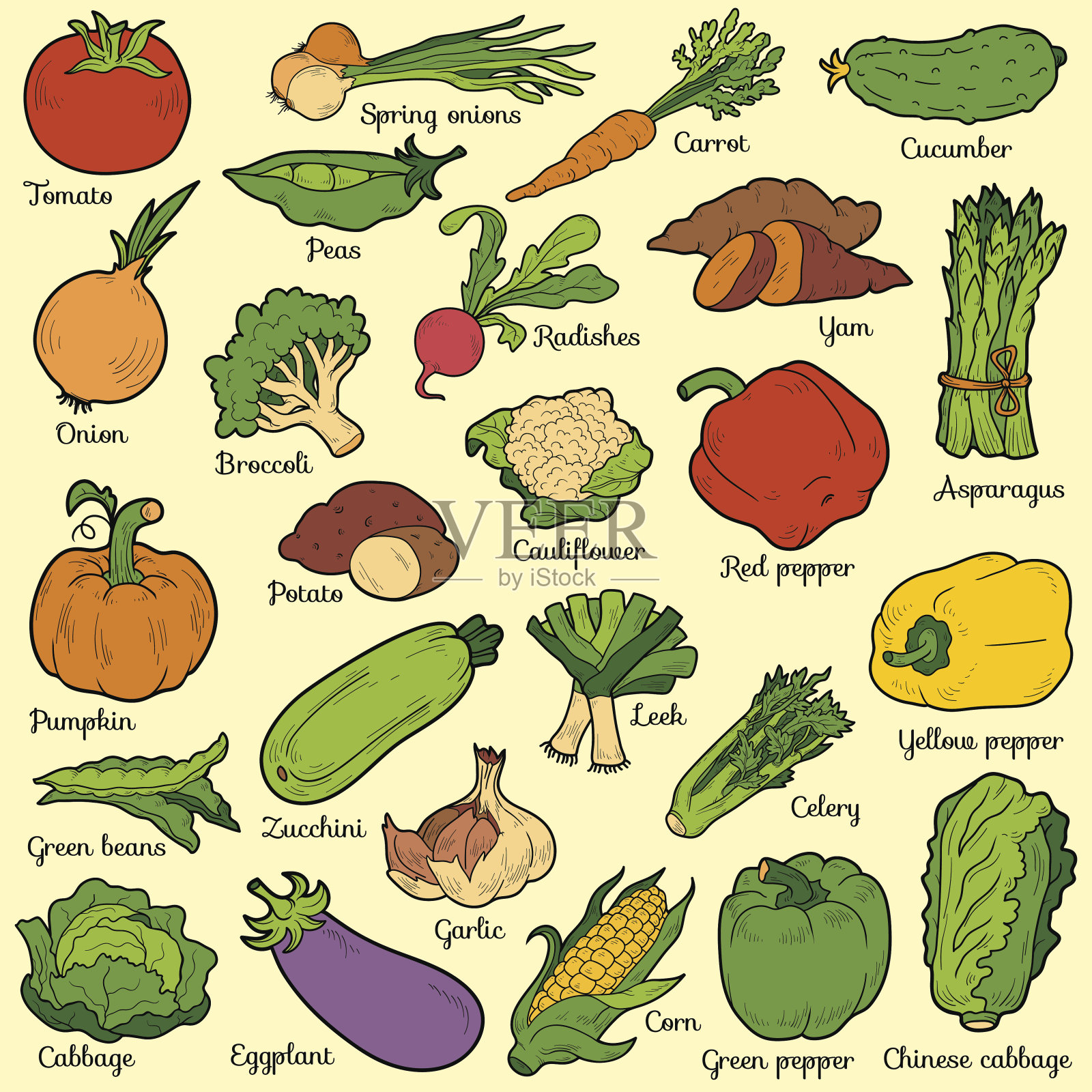 彩色蔬菜套装，矢量卡通贴纸插画图片素材