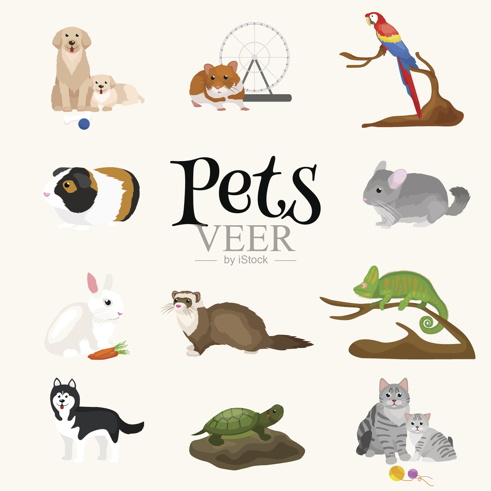 家庭宠物集，猫狗鹦鹉金鱼仓鼠，家养动物插画图片素材