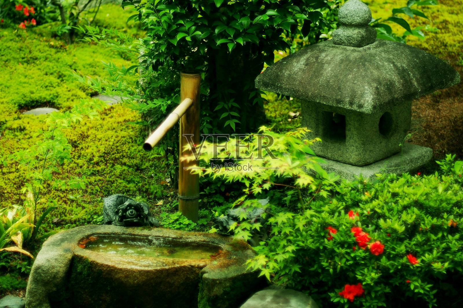 日式花园照片摄影图片