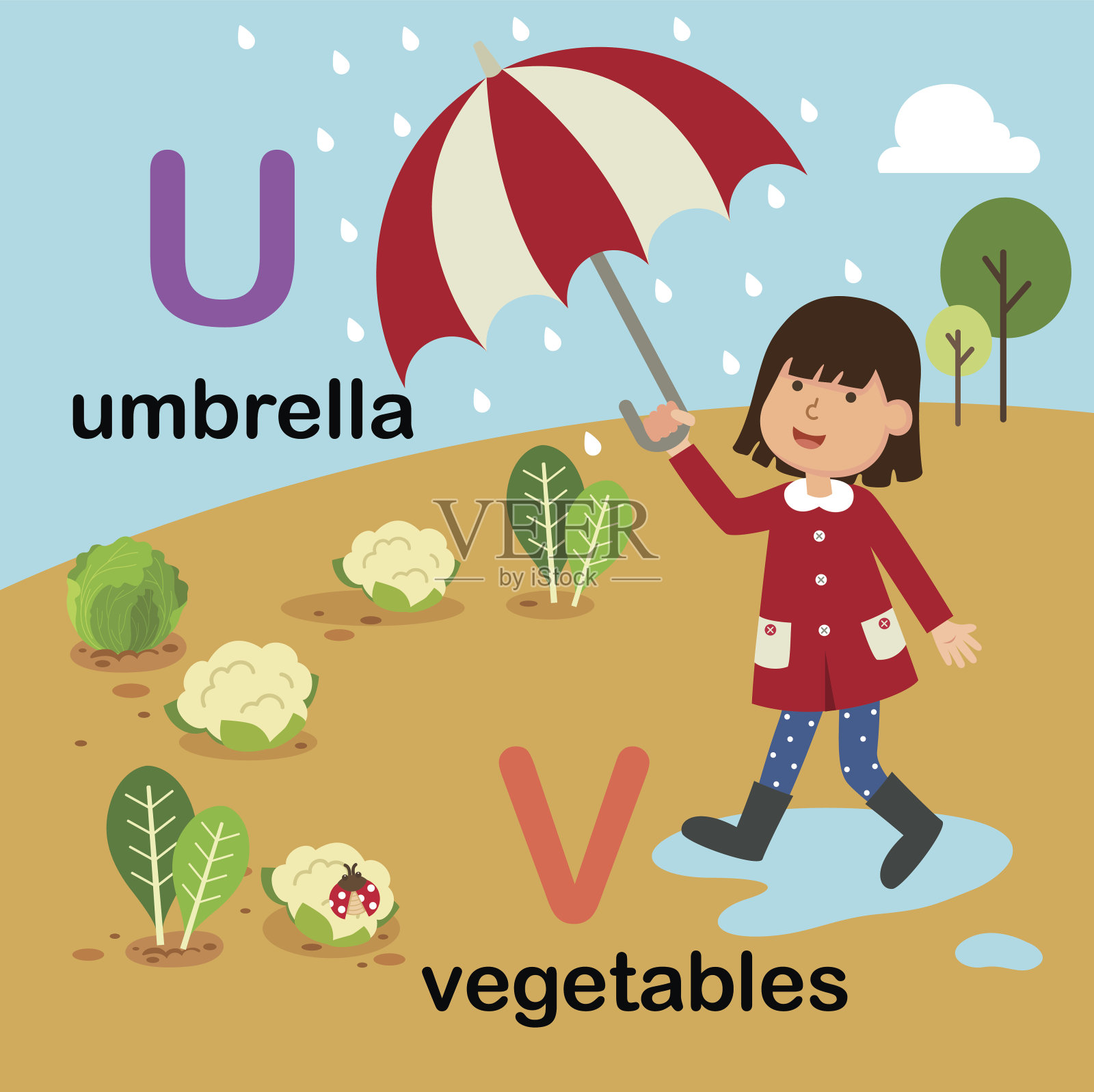 字母字母U-umbrella V-vegetables,插图插画图片素材