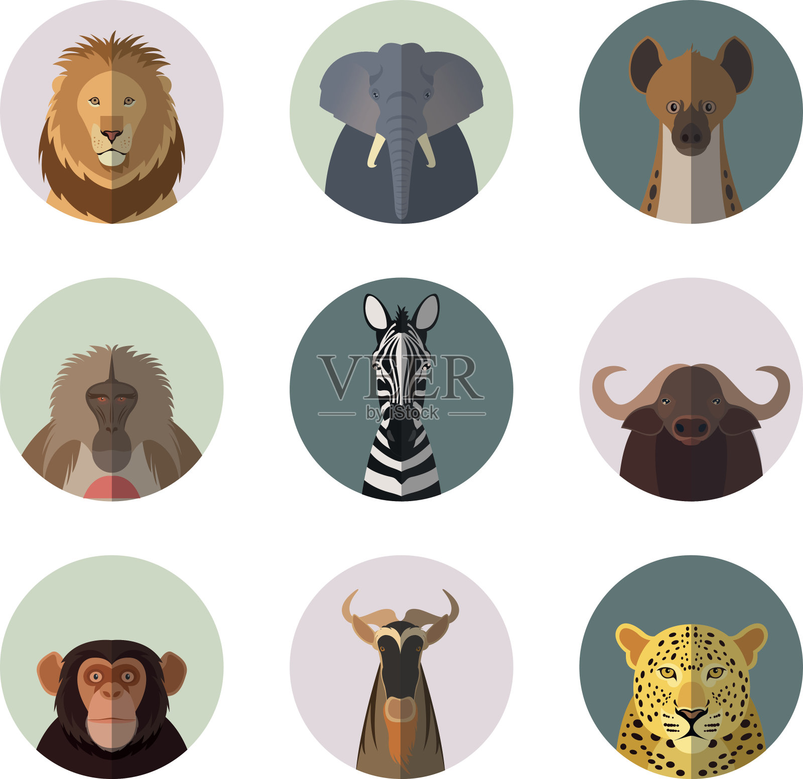 非洲动物圆形扁平图标设计元素图片