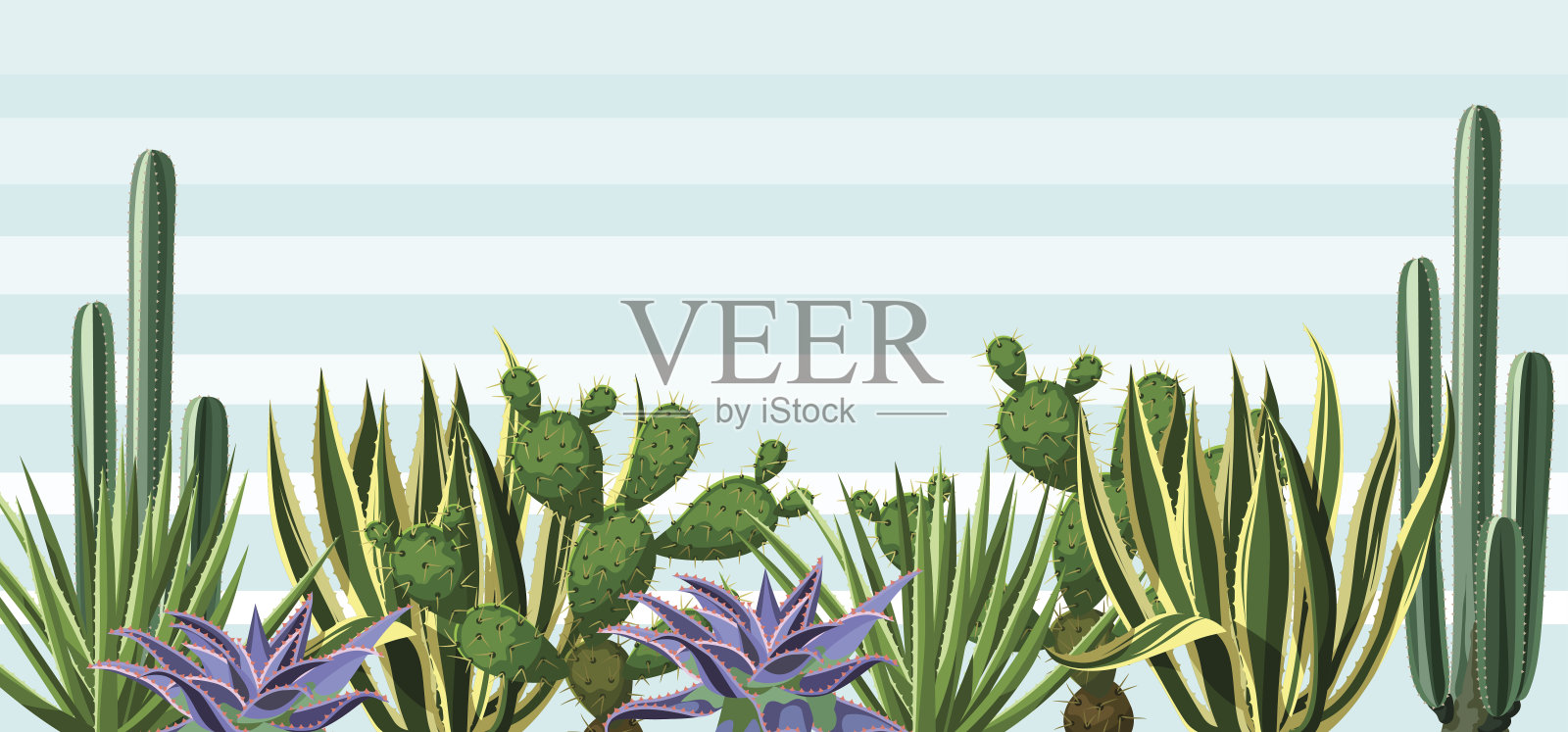 背景与仙人掌和多肉植物设置。植物的沙漠插画图片素材