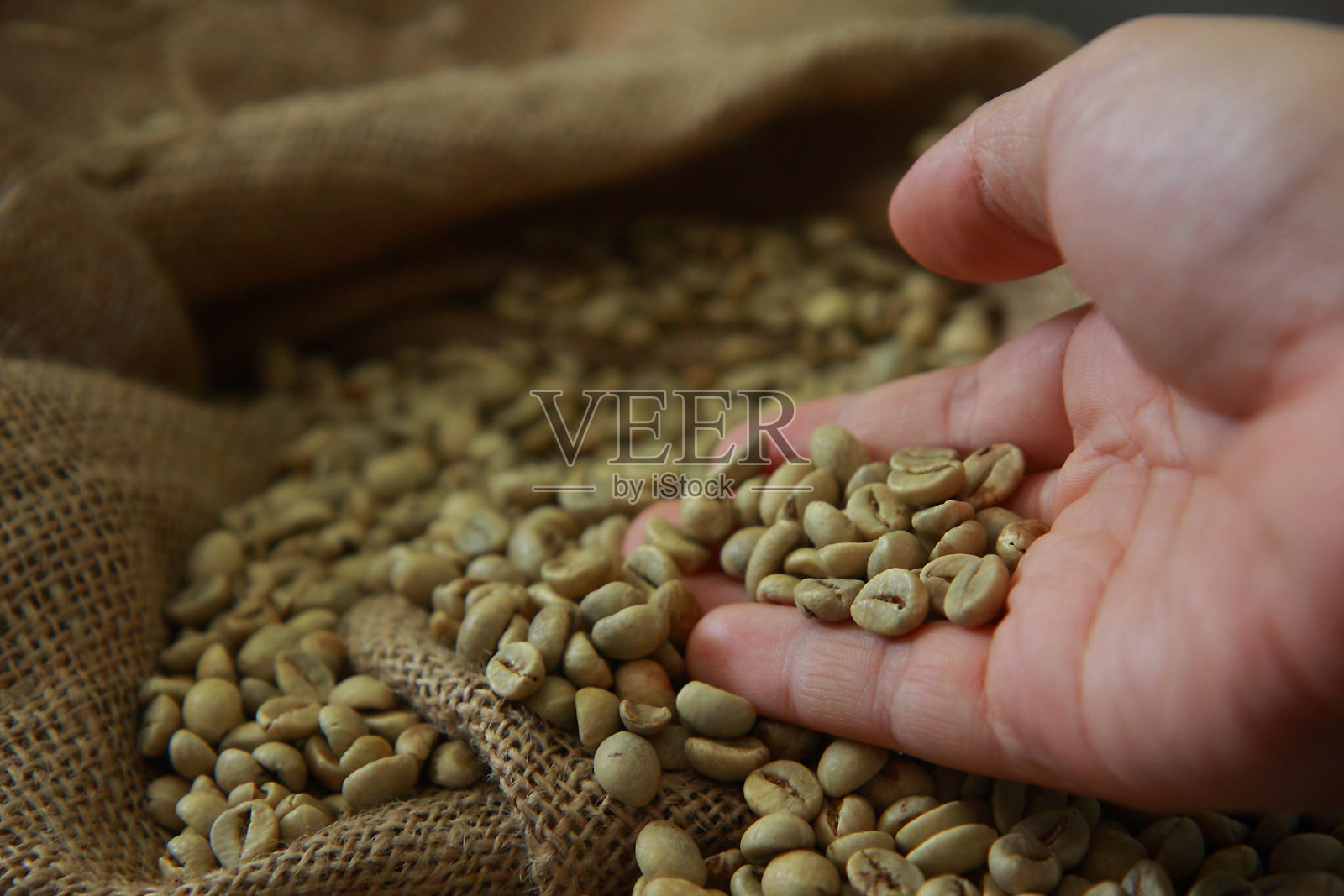 生咖啡豆照片摄影图片