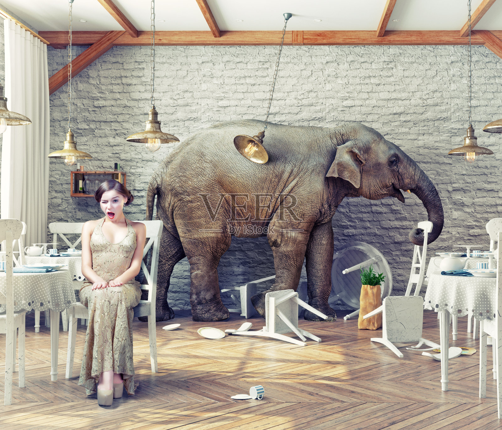 大象在餐厅照片摄影图片