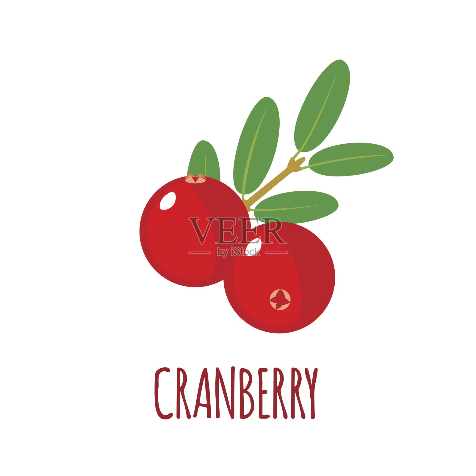 蔓越莓图标在白色背景上的平坦风格设计元素图片