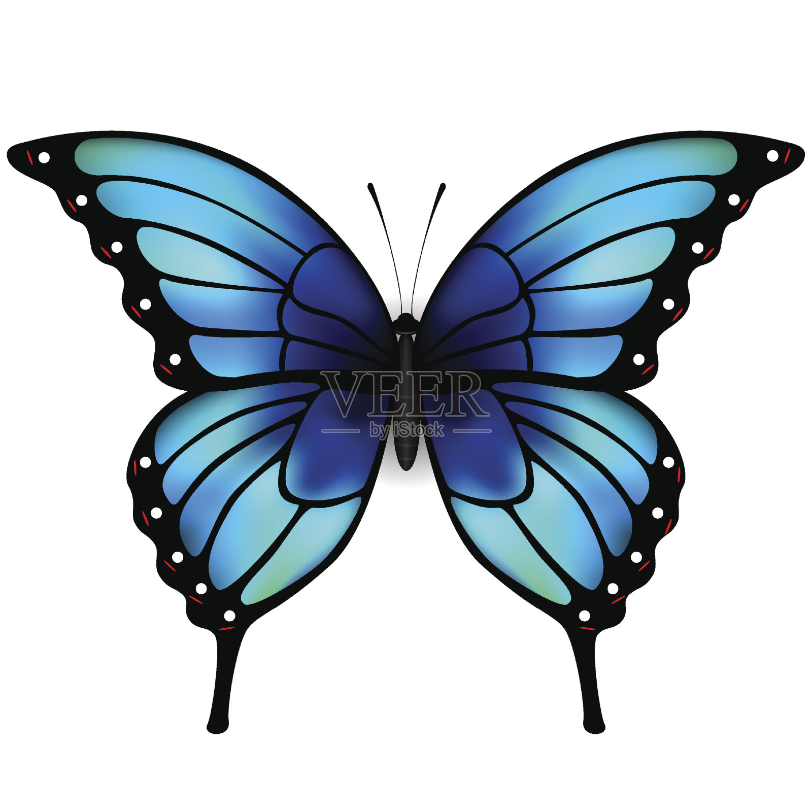 白色背景上长着蓝色大翅膀的蝴蝶。设计元素图片