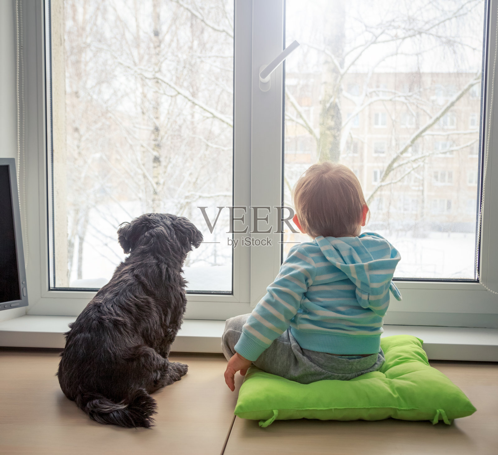 婴儿和狗在冬天透过窗户看照片摄影图片