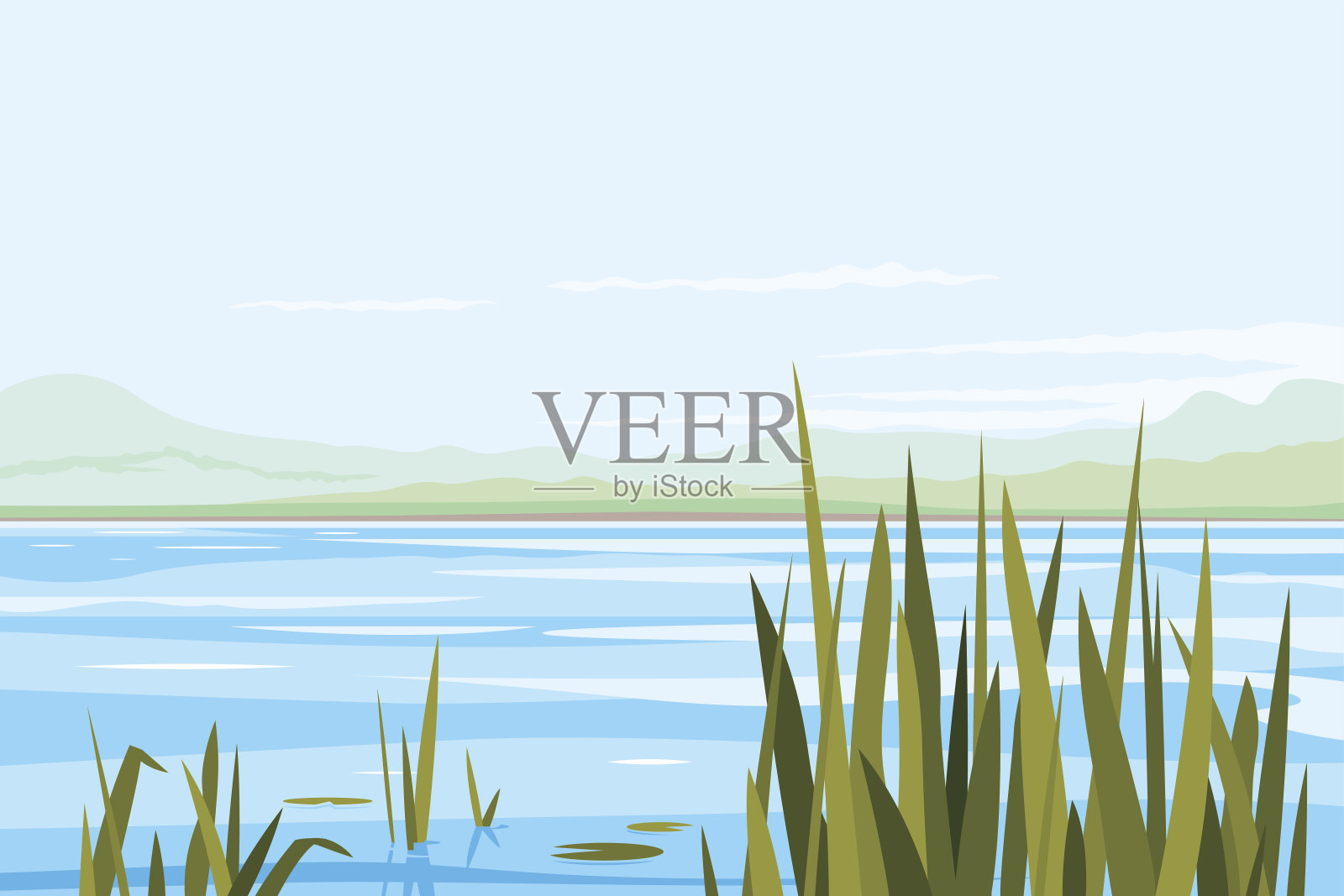 芦苇植物河流景观插画图片素材