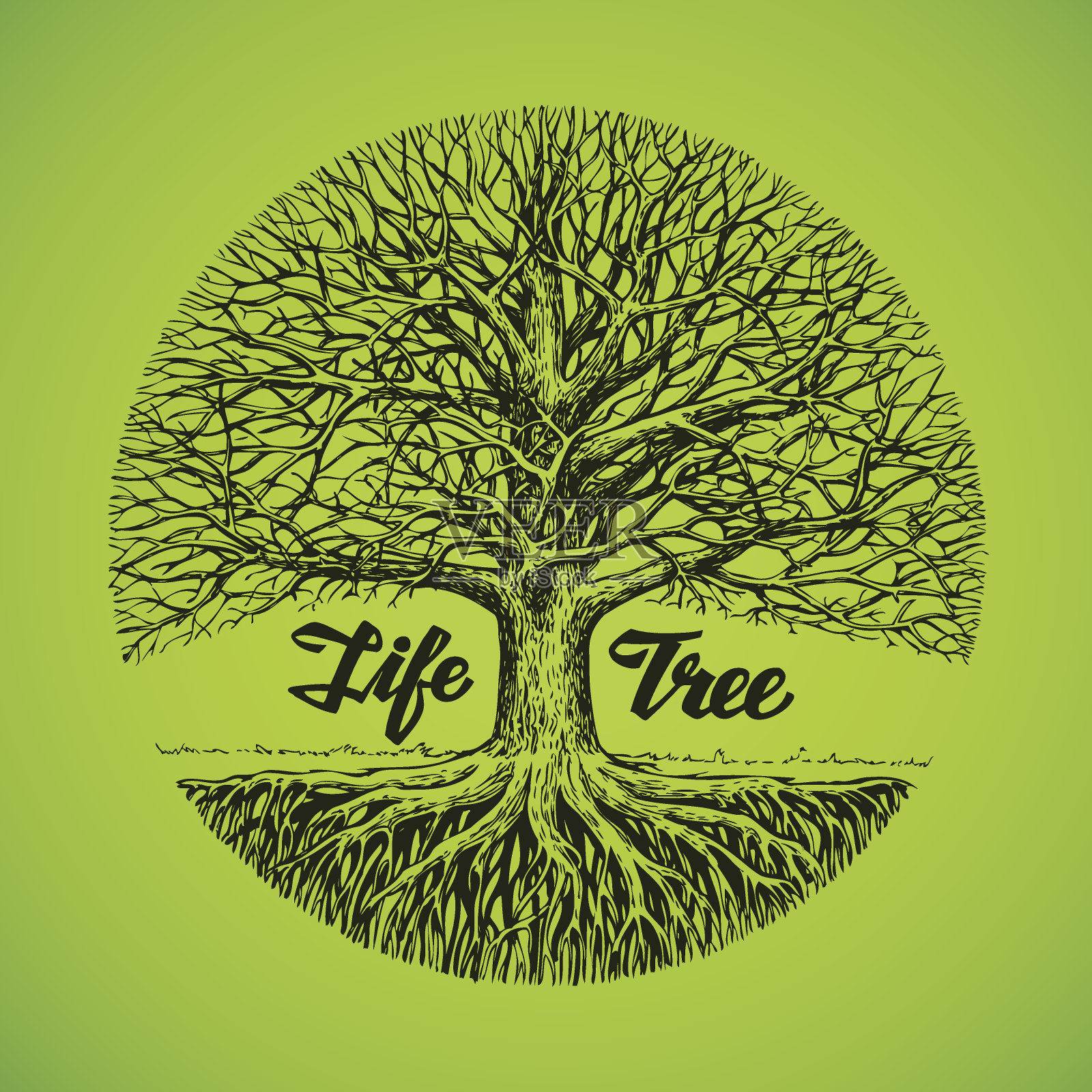 手绘向量草图树与根。生态、环境。自然设计元素图片