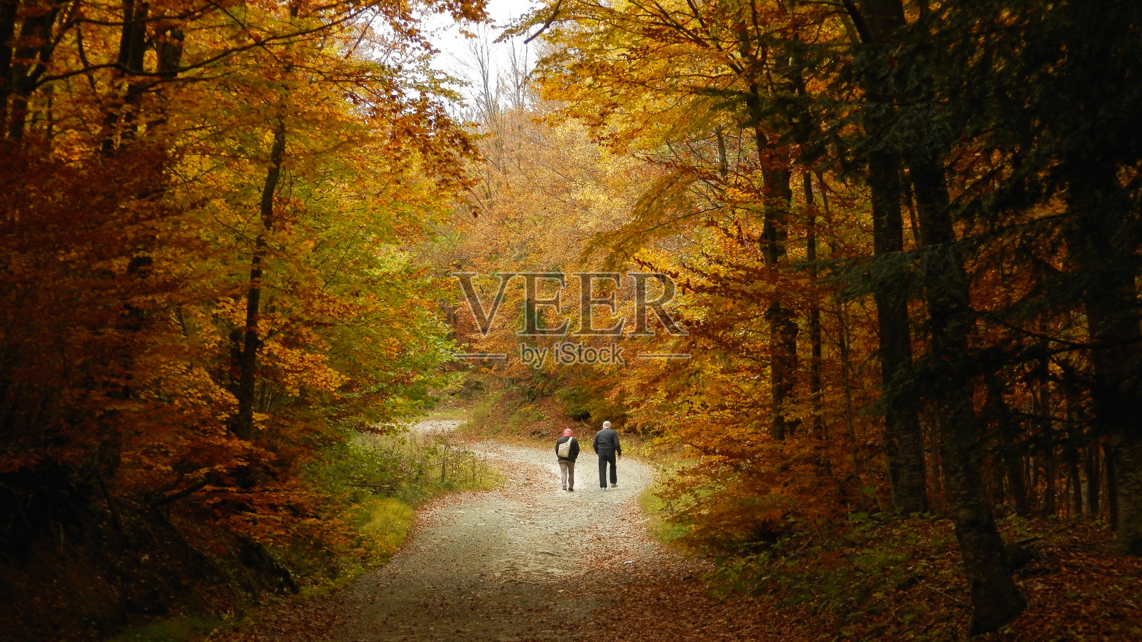 秋天散步:男人和女人在户外的树林里散步照片摄影图片