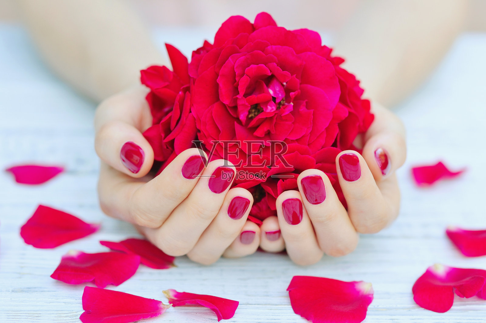 粉红色的指甲和花照片摄影图片