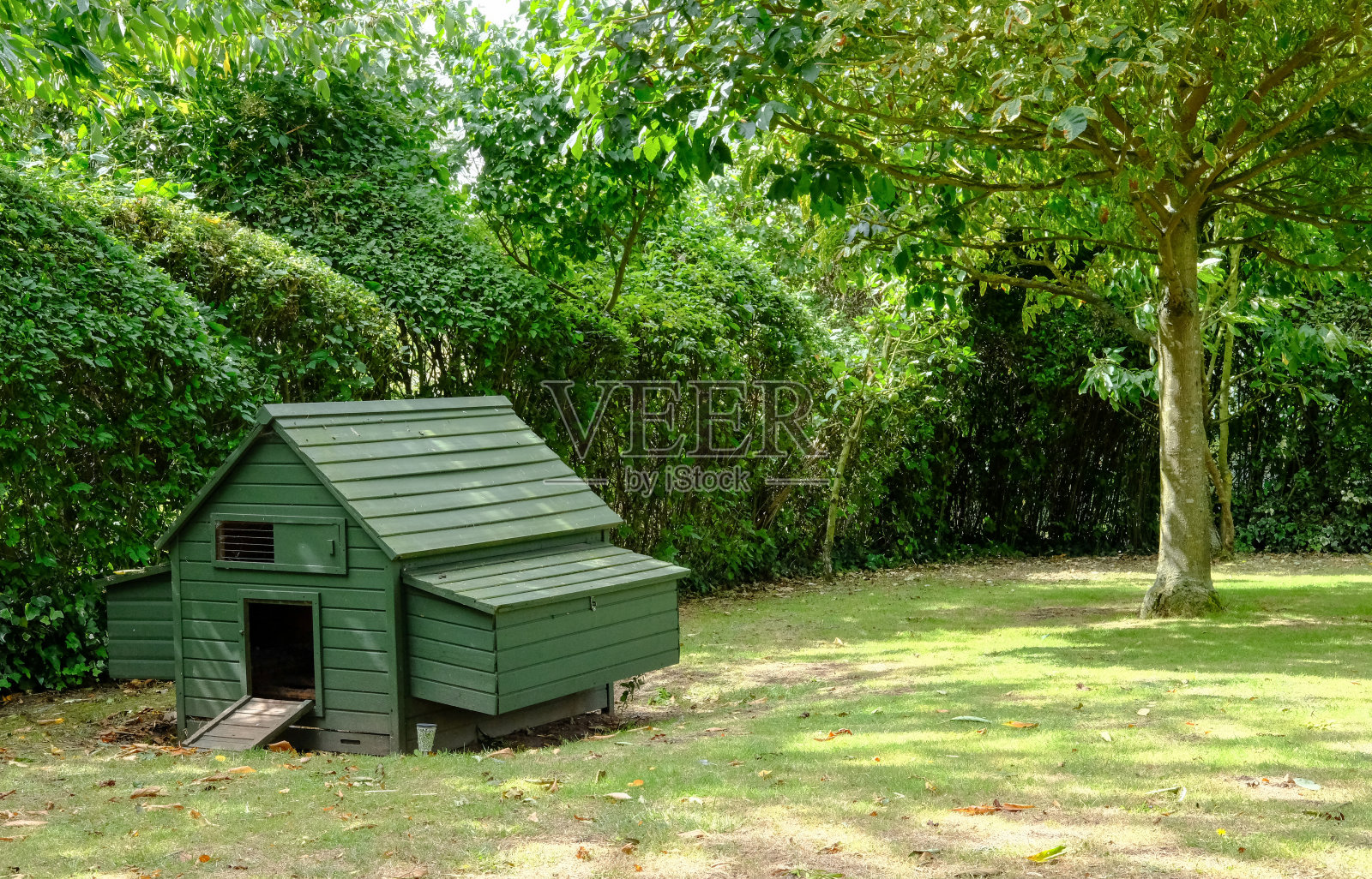 夏日花园中的木制鸡舍照片摄影图片