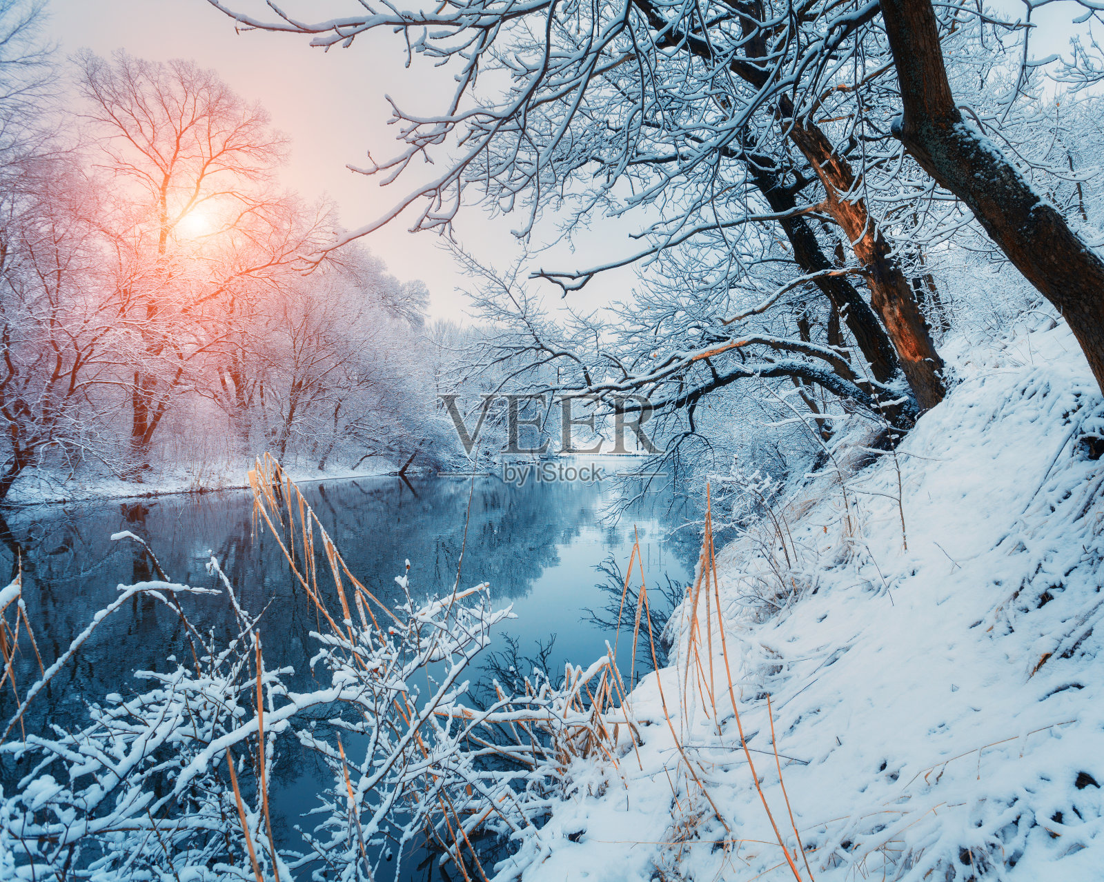 美丽的冬天在河边的森林日落照片摄影图片