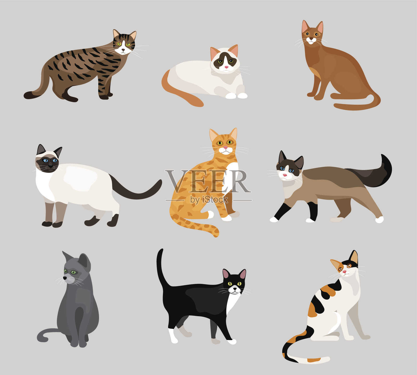 一套可爱的卡通小猫或猫插画图片素材