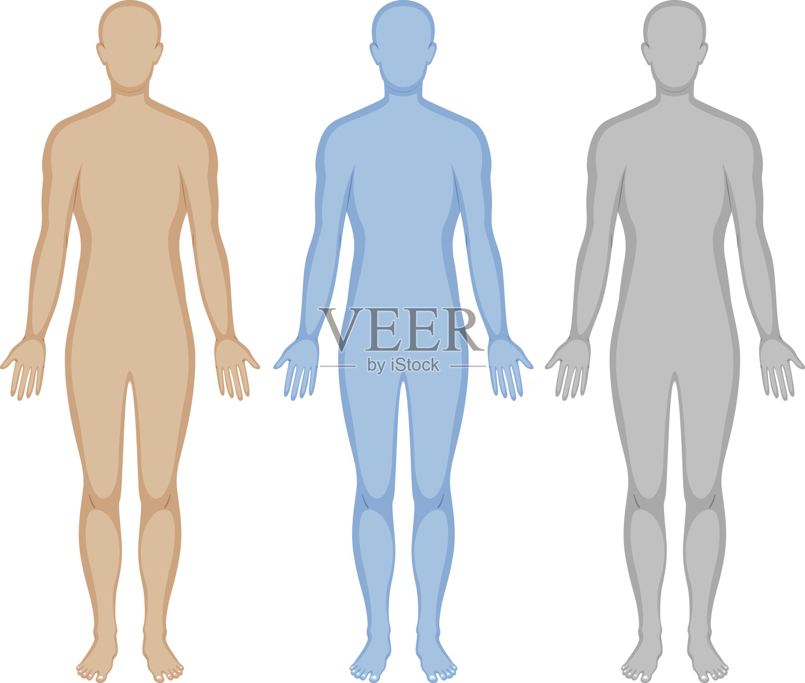 人体轮廓有三种颜色插画图片素材
