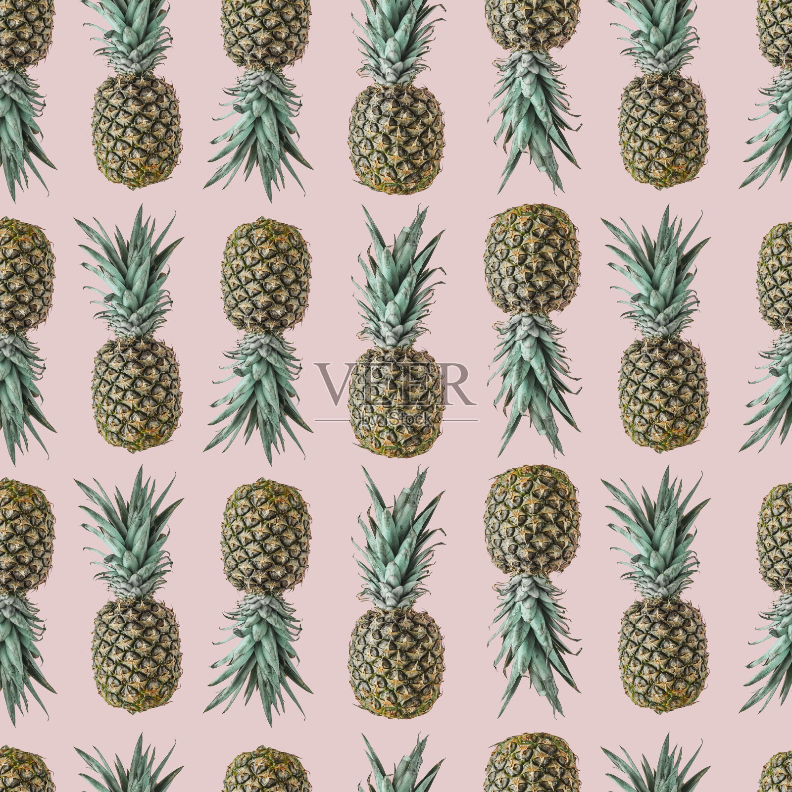 无缝菠萝图案与腮红粉彩背景。最小的水果的概念。照片摄影图片