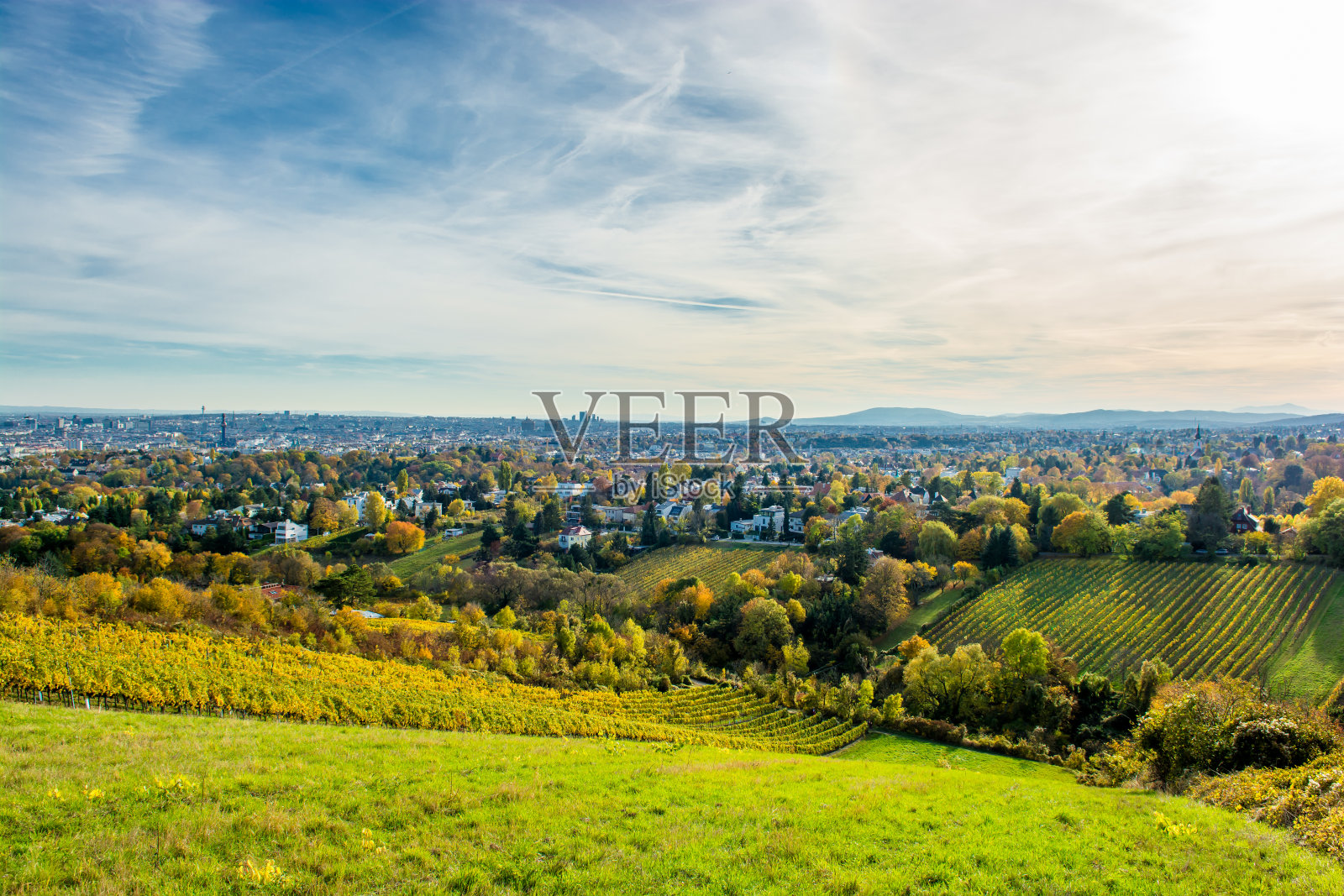 秋季葡萄园和奥地利维也纳的天际线照片摄影图片