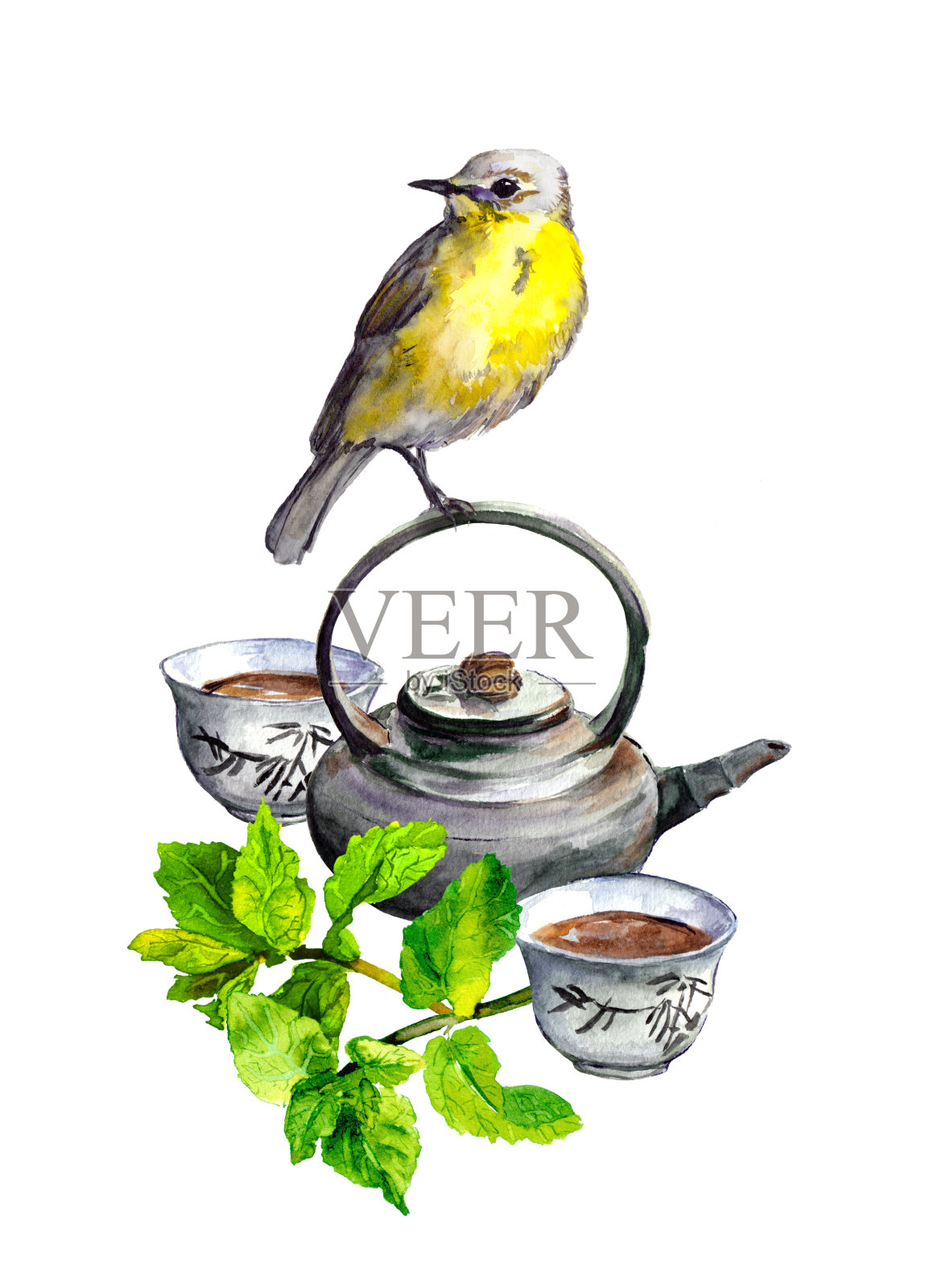 薄荷茶，茶壶，杯子和鸟。水彩插画图片素材