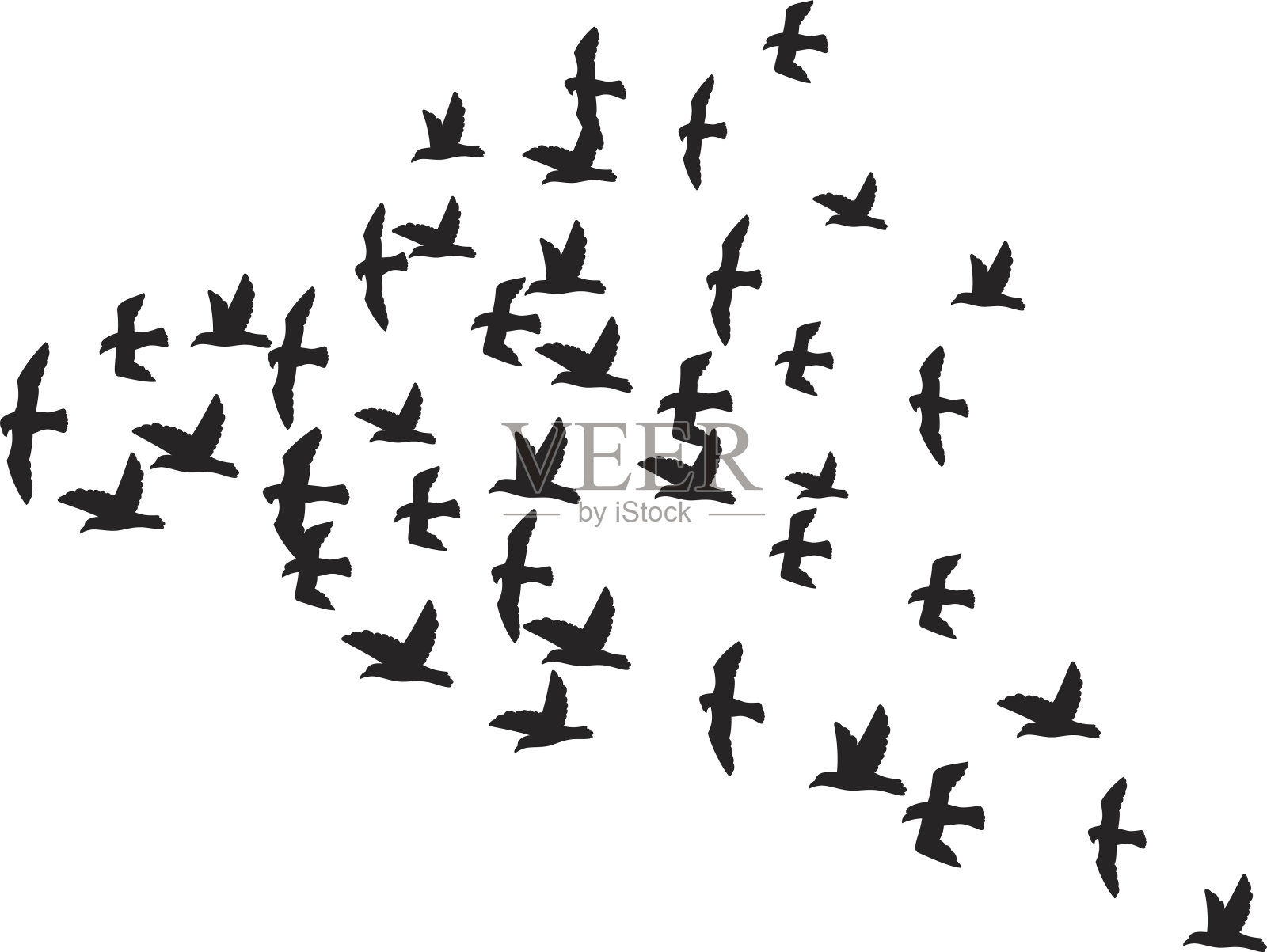 一群飞翔的鸟插画图片素材