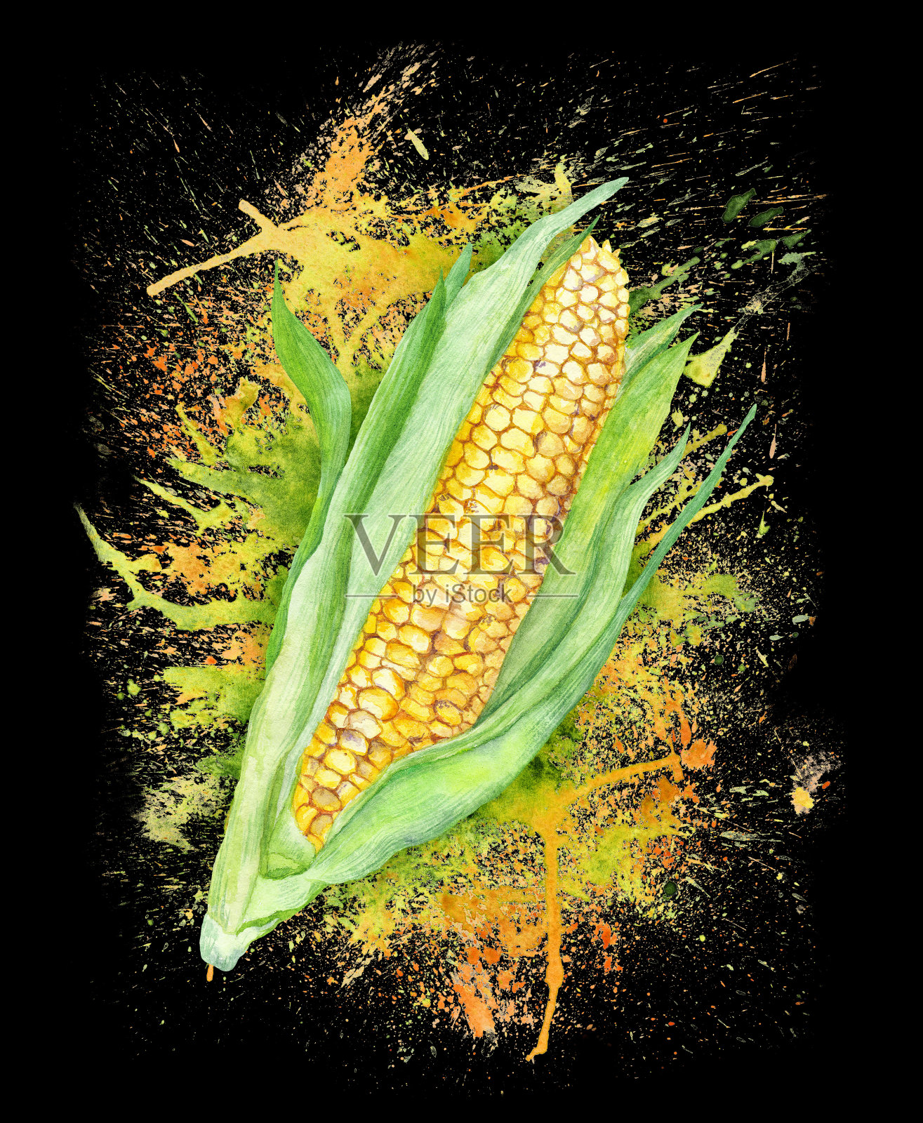 多汁玉米水彩插图插画图片素材