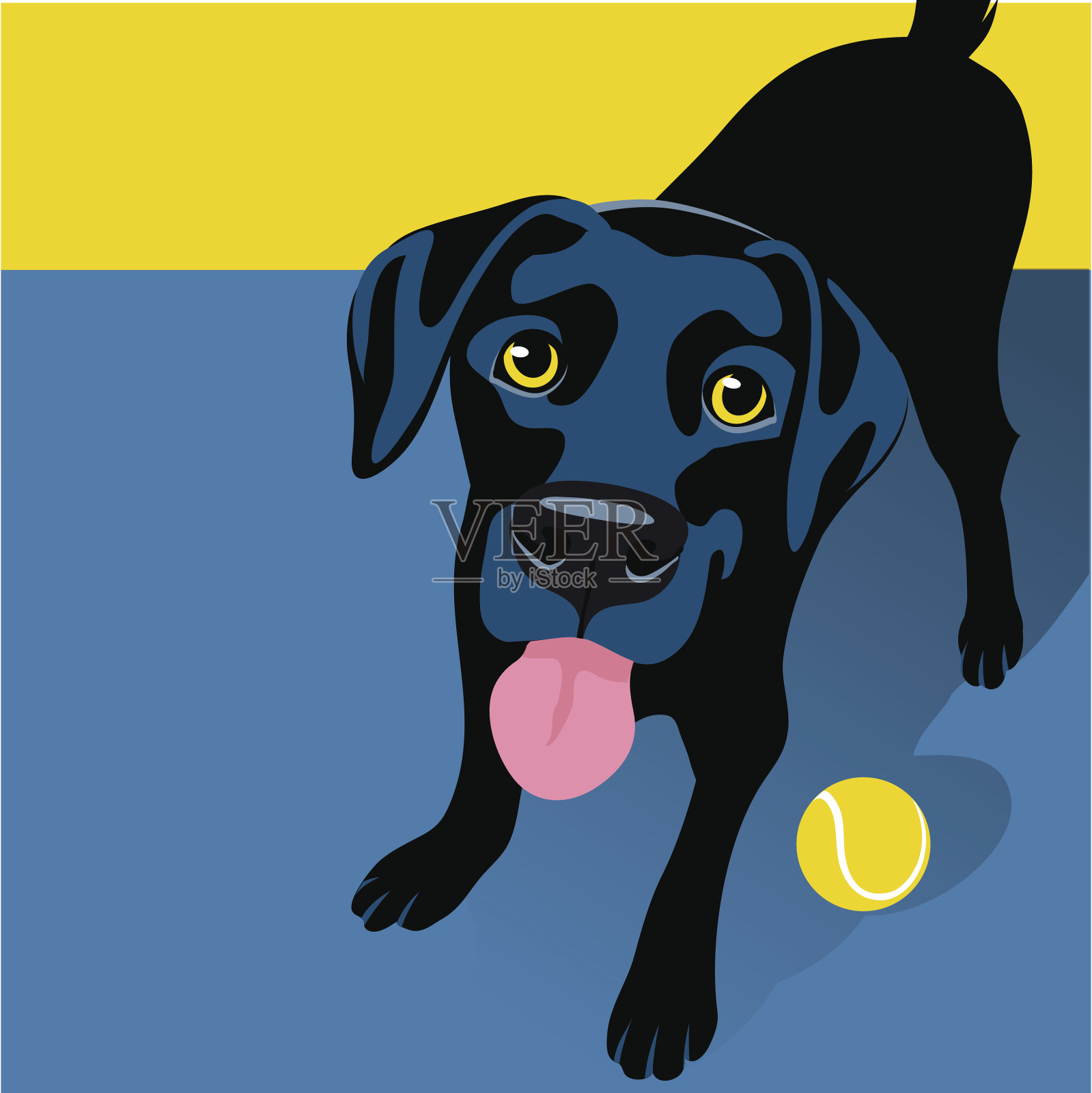 顽皮的黑色拉布拉多寻回犬与网球的插图插画图片素材