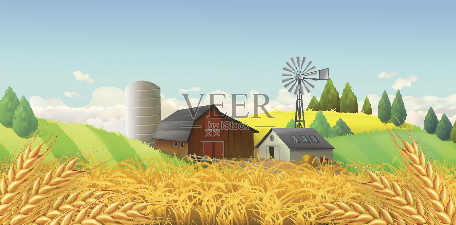 麦田。农场的风景。向量的背景插画图片素材