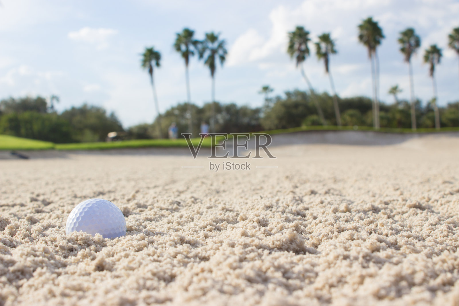 沙坑中的高尔夫球照片摄影图片