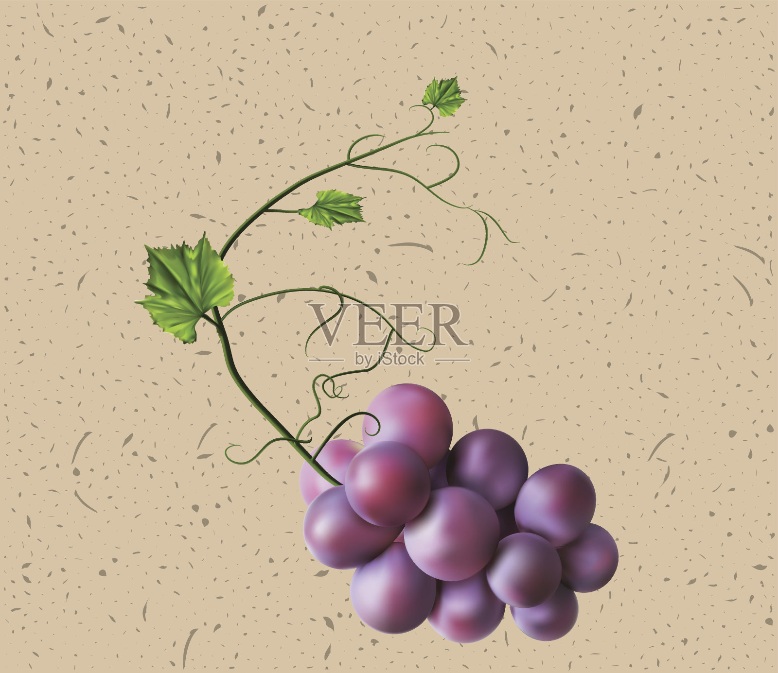 新鲜的一串紫色的葡萄设计元素图片