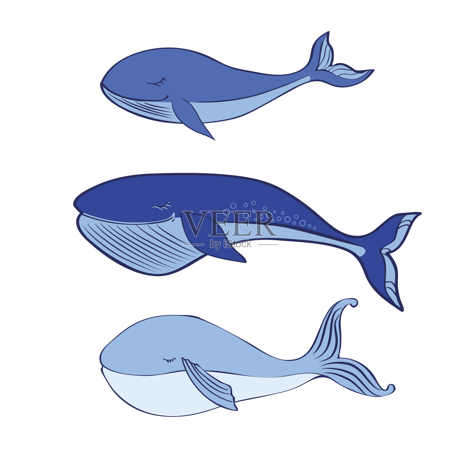蓝鲸可爱的卡通有趣的插图设计元素图片