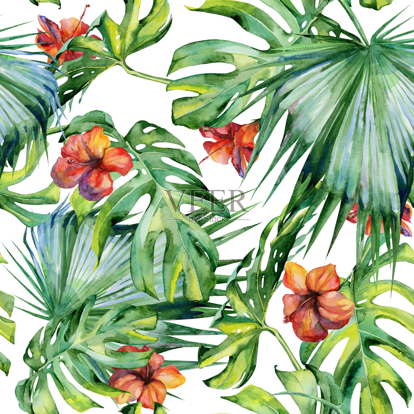 无缝水彩画的热带树叶，茂密的丛林。插画图片素材