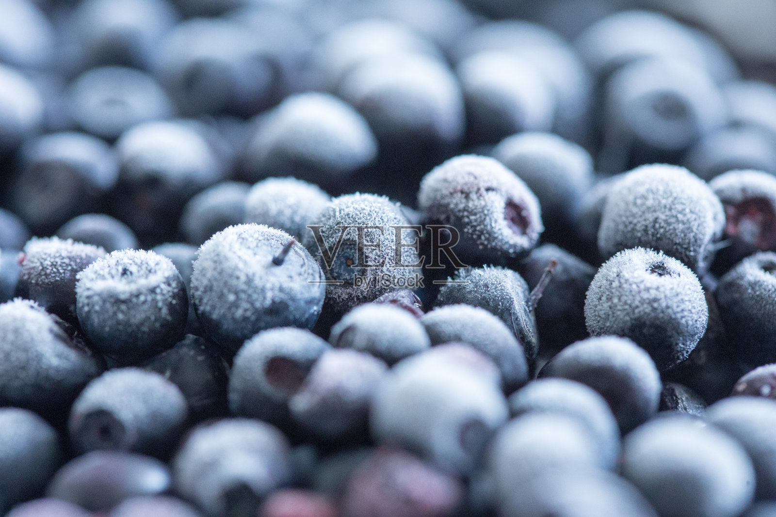 冷冻蓝莓背景照片摄影图片