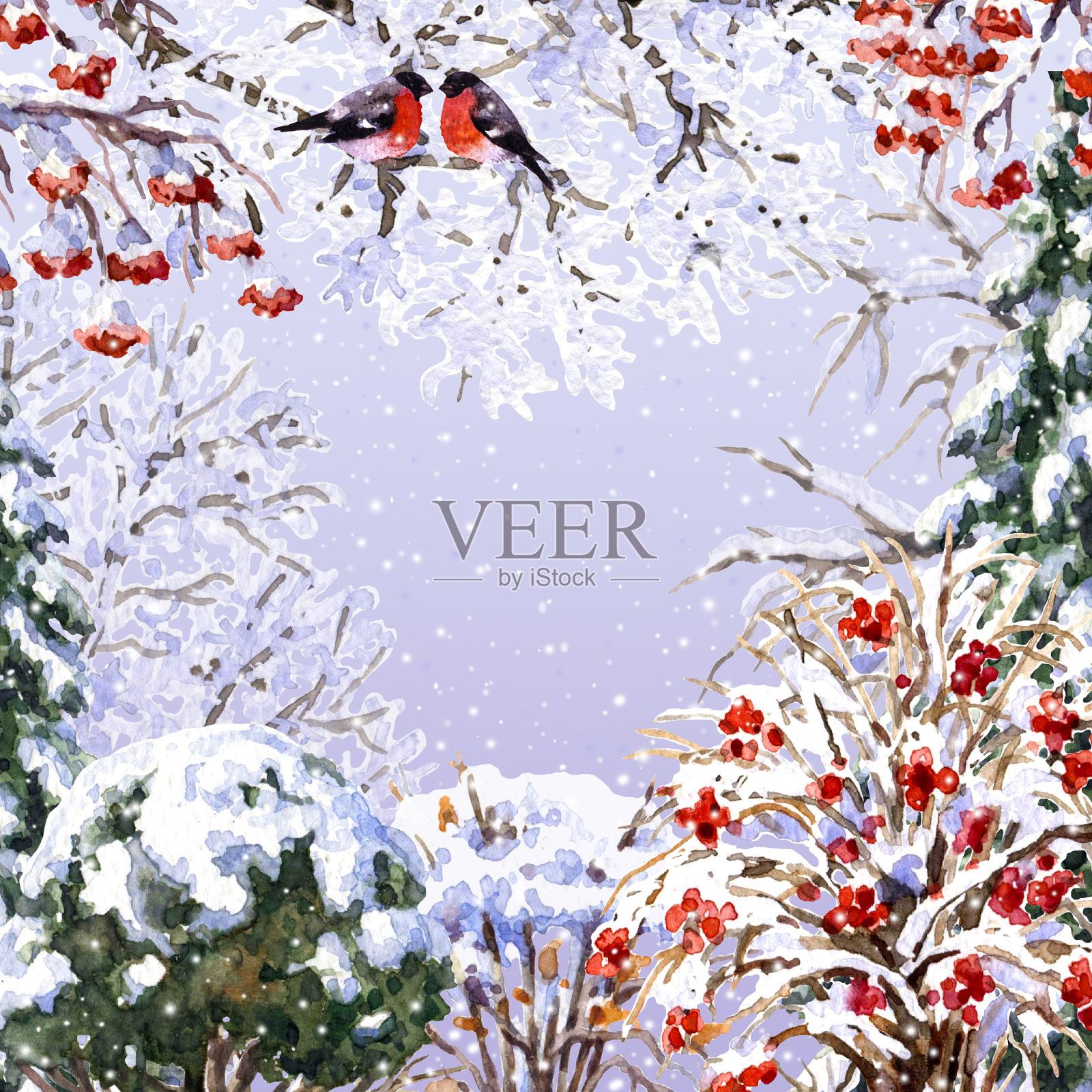 冬天的景色有树，鸟和雪。插画图片素材