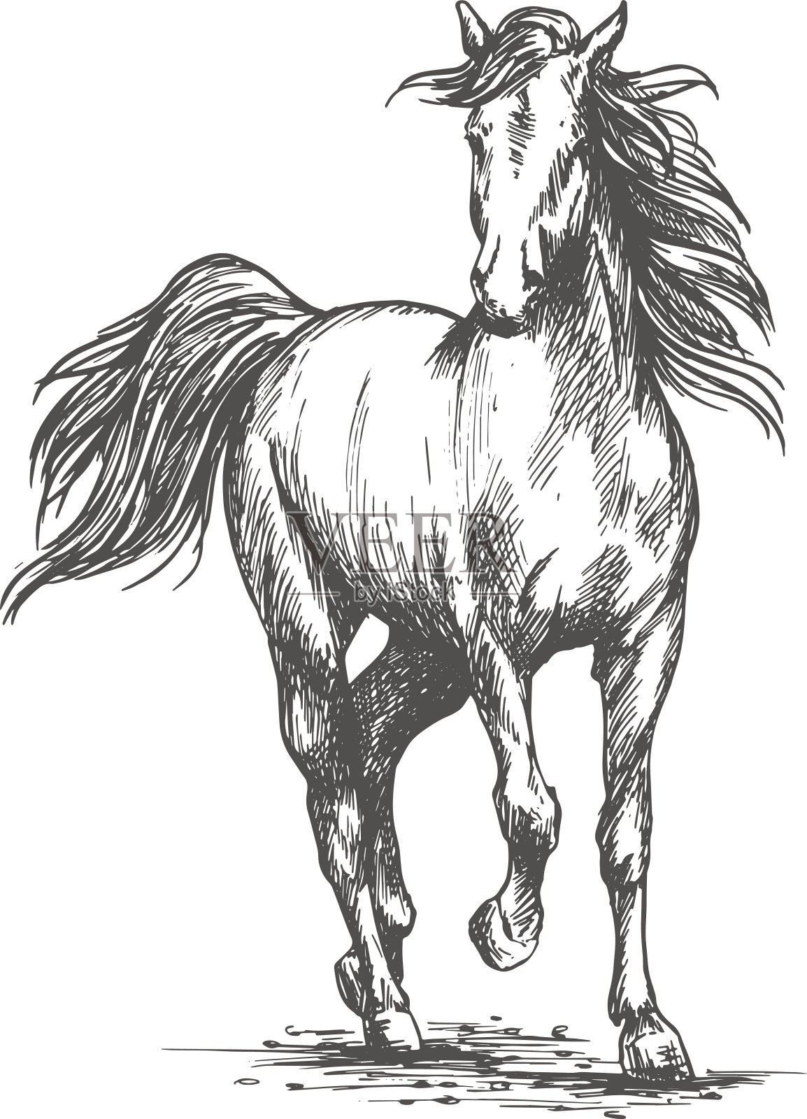 白马自由奔跑的肖像插画图片素材